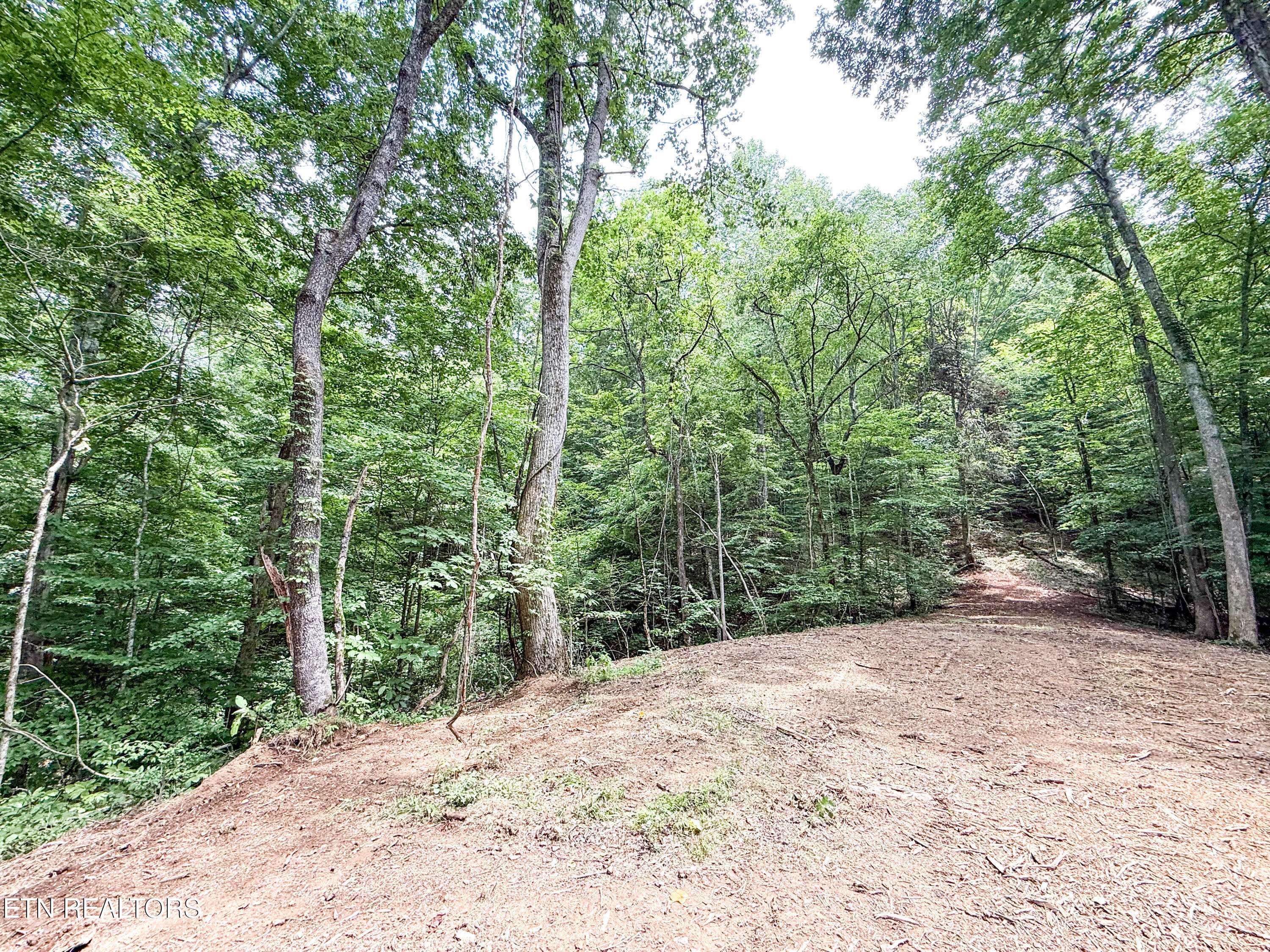 Oak Ridge, TN 37830,Forest Creek Pkwy
