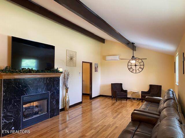 Knoxville, TN 37914,1407 Rosalyn DR