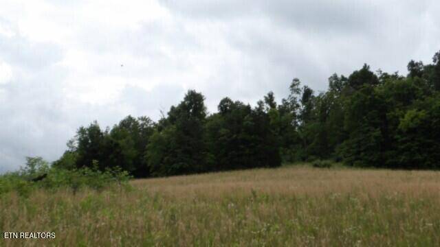 Byrdstown, TN 38549,51.30ac Livingston Hwy