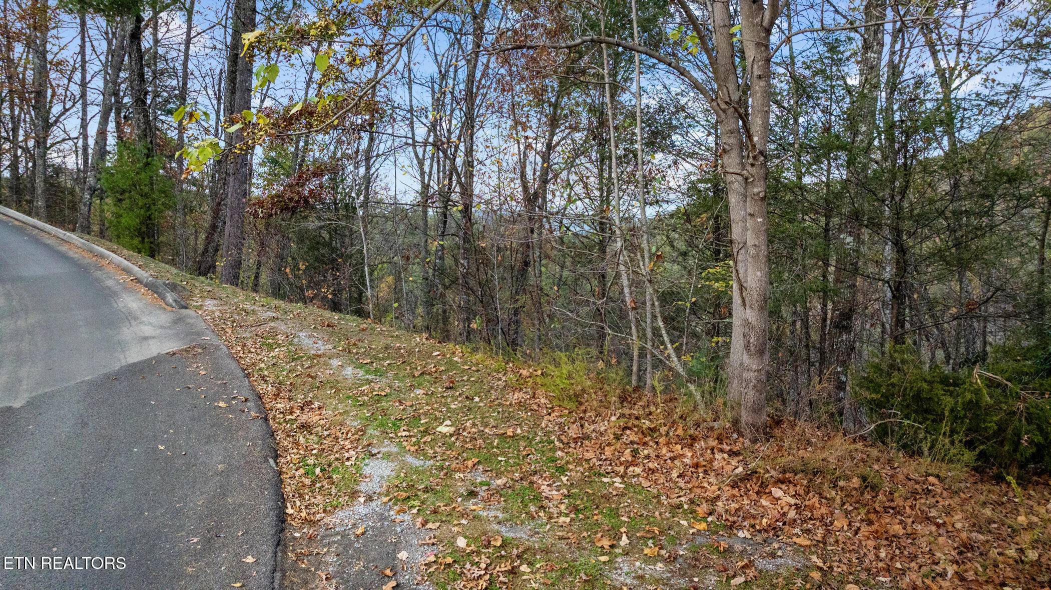 Sevierville, TN 37862,4416 Whetstone Rd