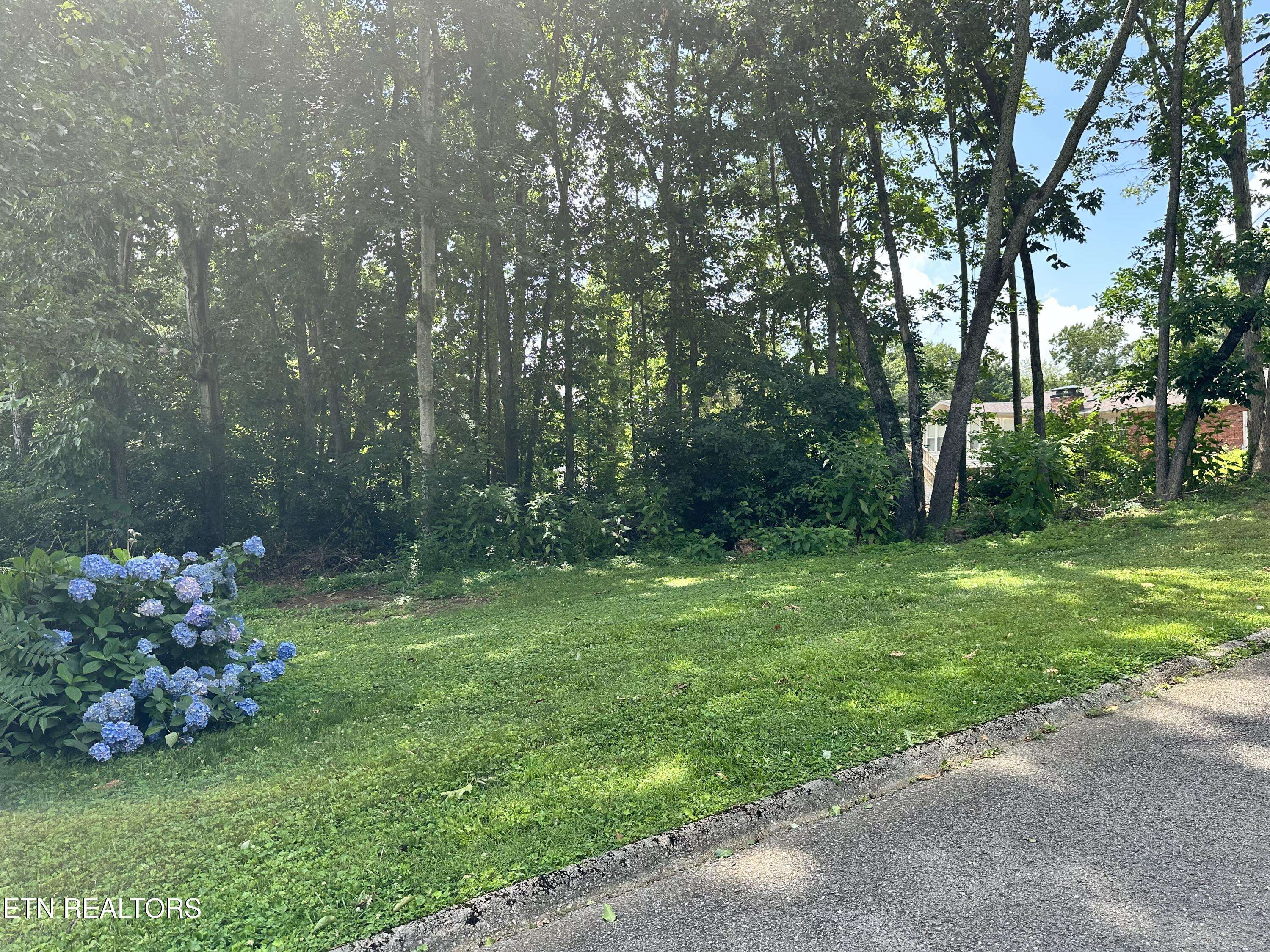 Powell, TN 37849,7925 Widdecomb Rd