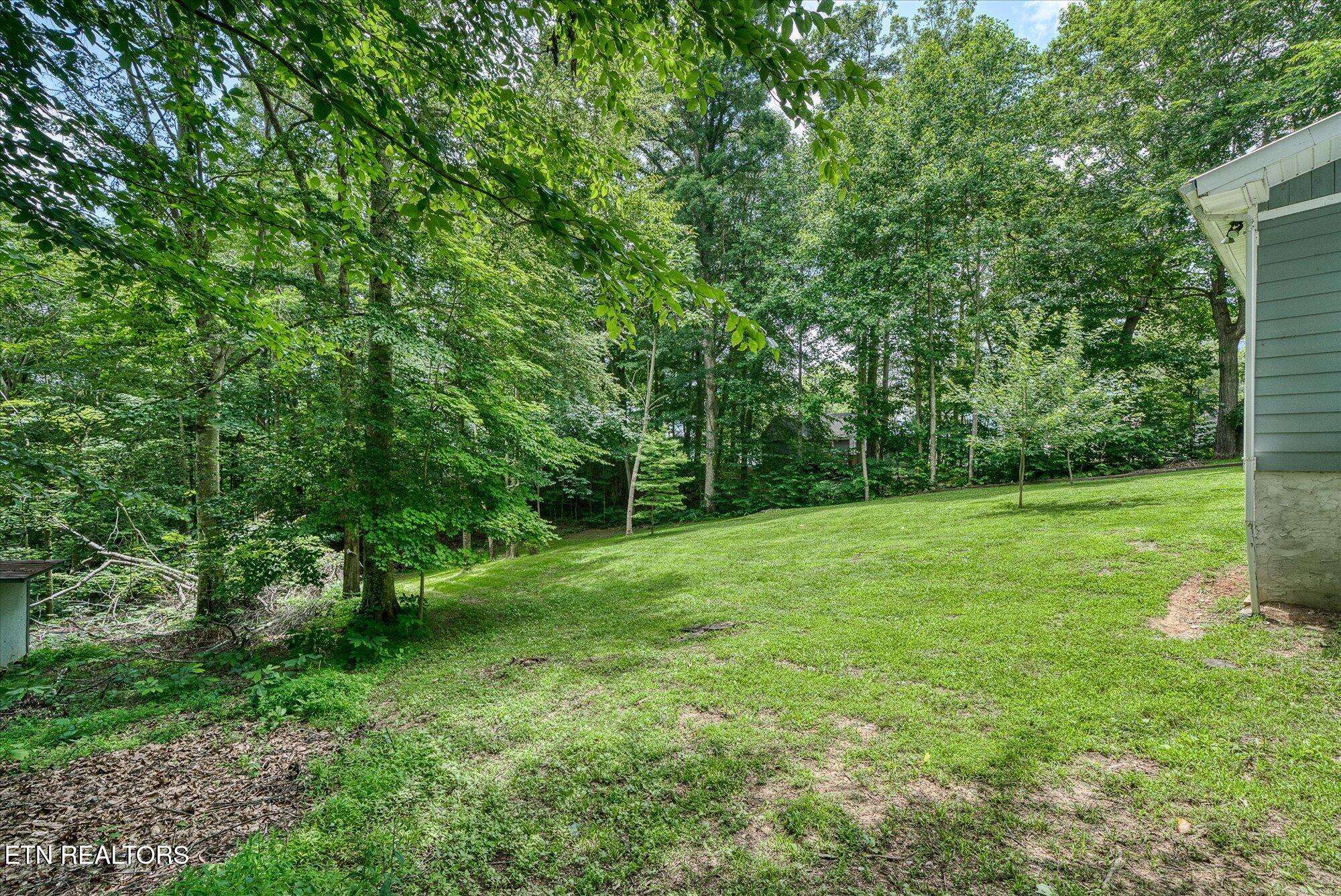 Byrdstown, TN 38549,502 Midnight DR