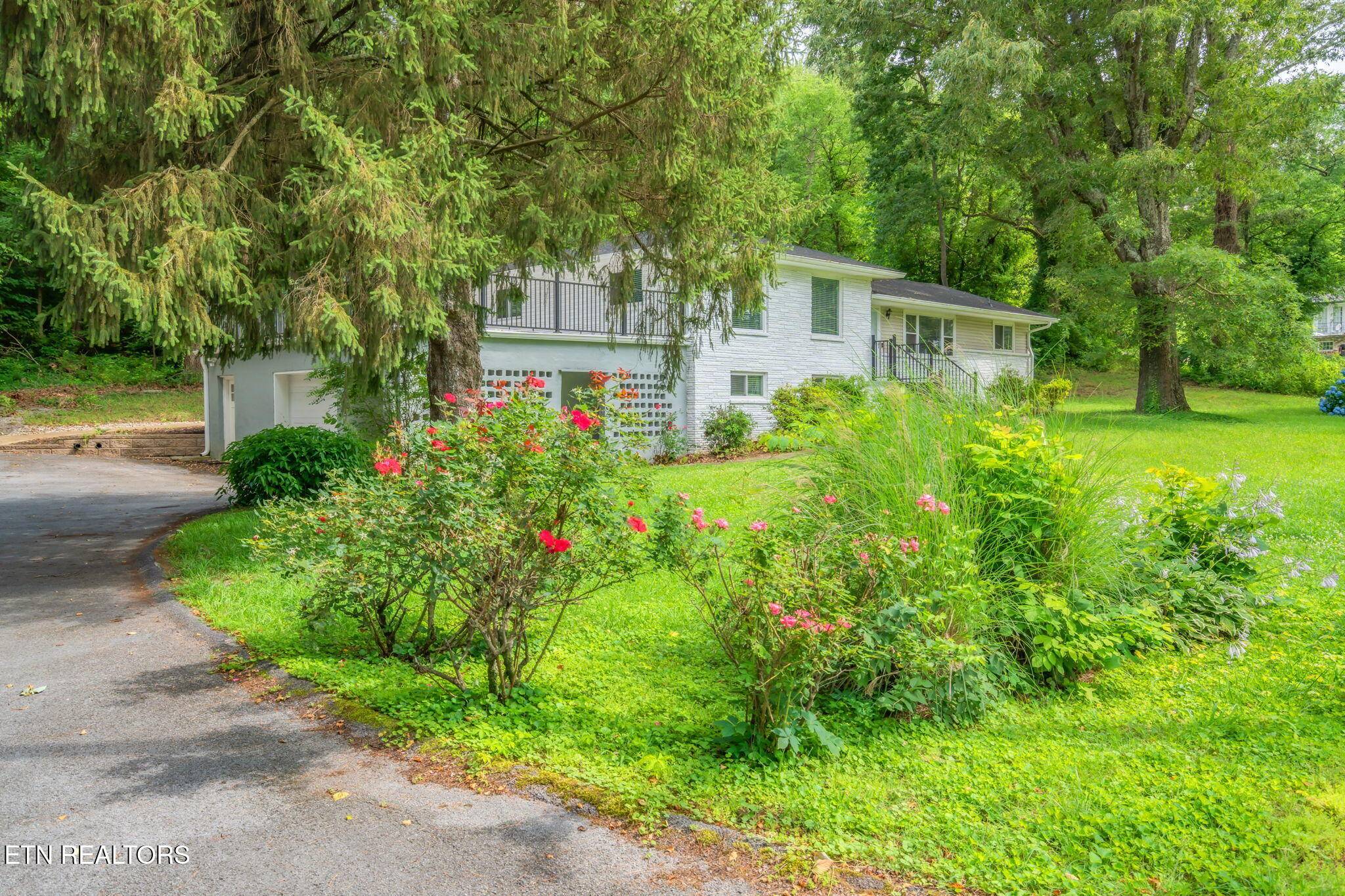 Knoxville, TN 37912,4412 Bruhin Rd