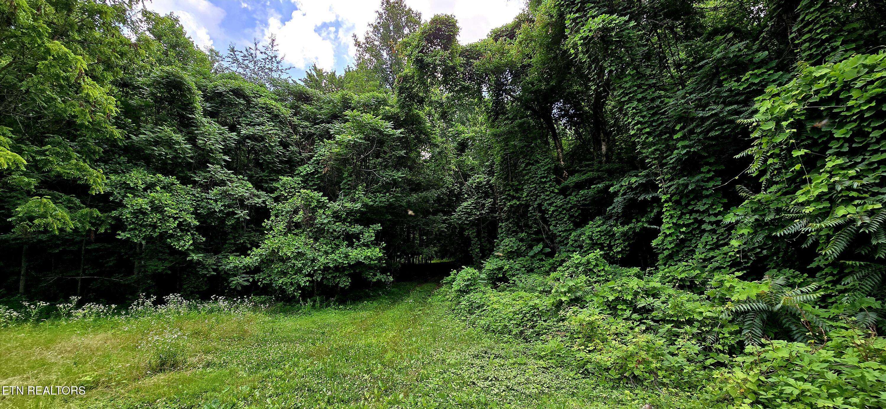 Newport, TN 37821,1580 Restful WAY