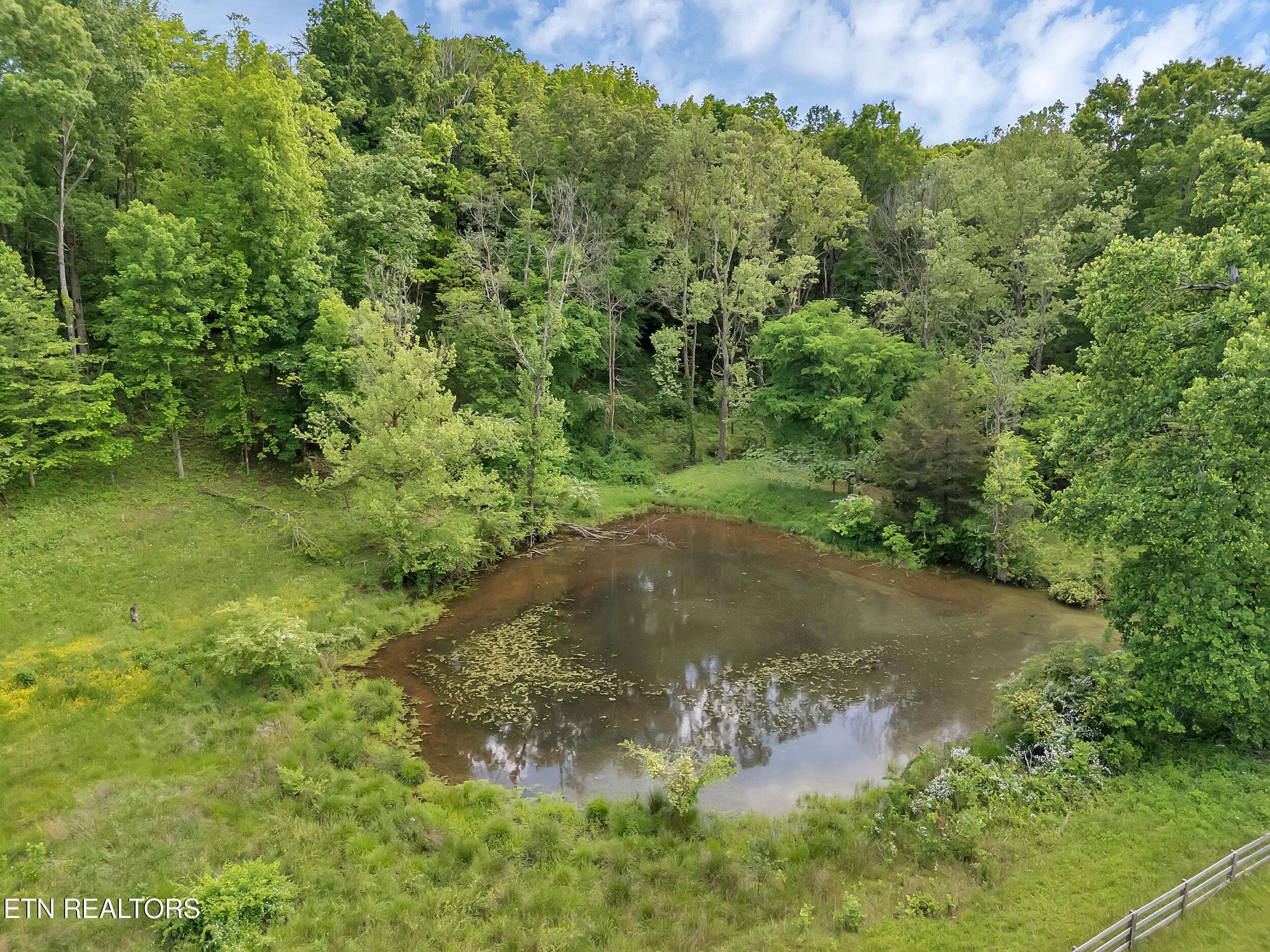 Friendsville, TN 37737,Marble Hill Rd (10+ Acres)