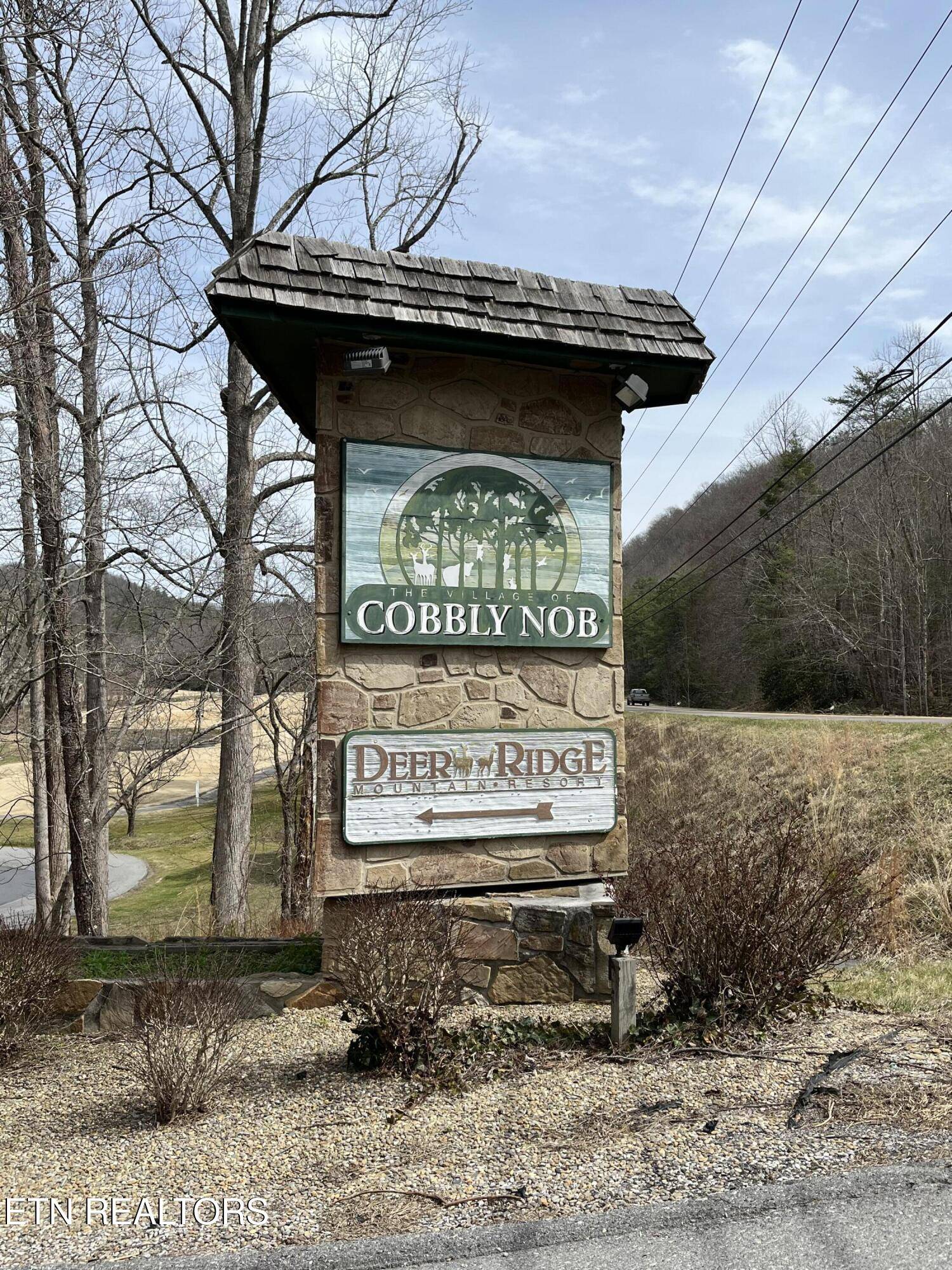 Gatlinburg, TN 37738,925 Sunshine Tr