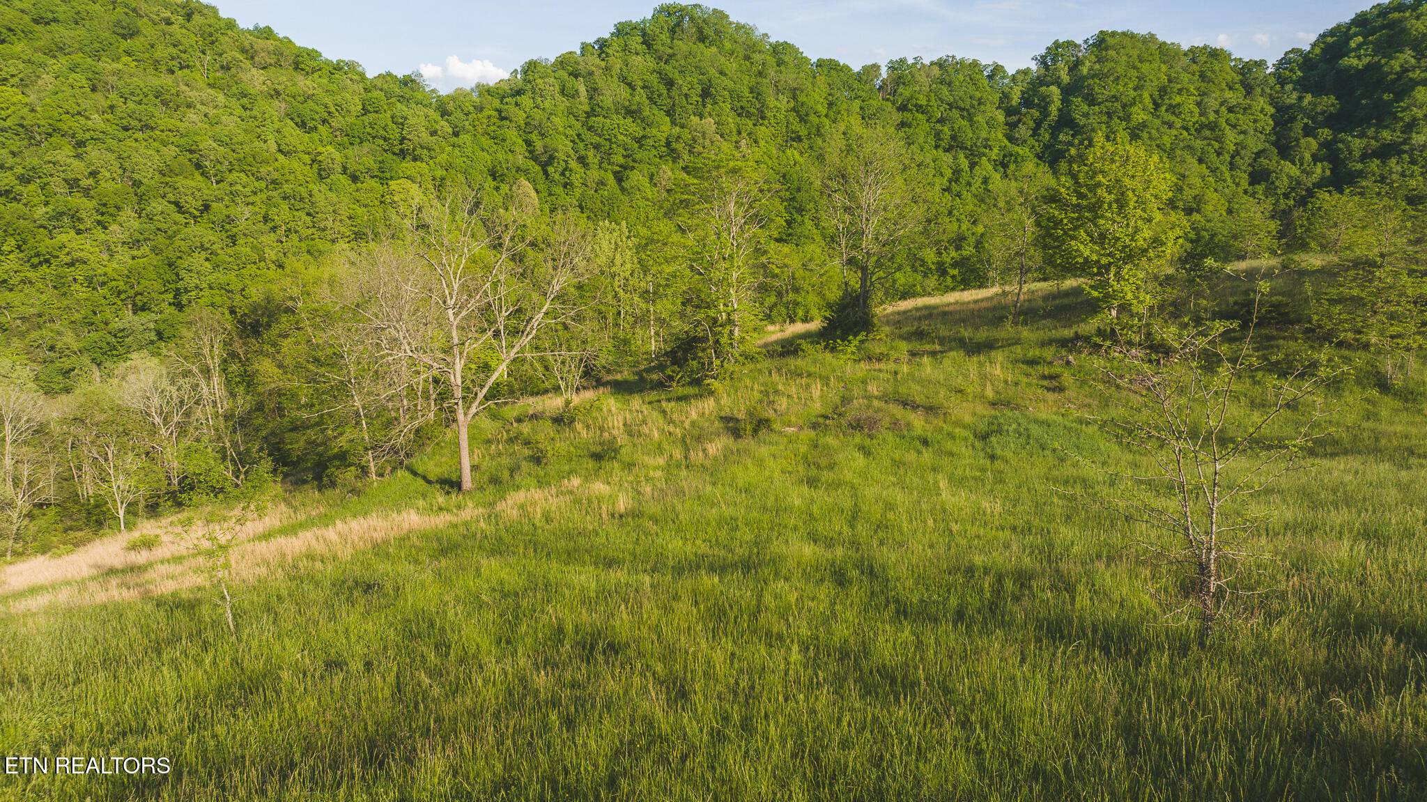 Eidson, TN 37731,Lot 7 Big Springs Rd
