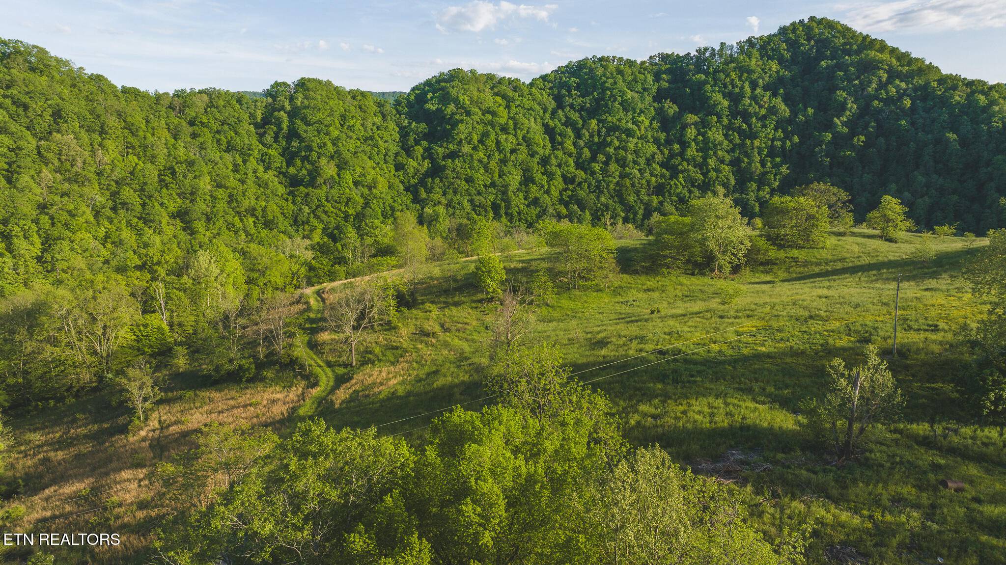 Eidson, TN 37731,Lot 10 Big Springs Rd