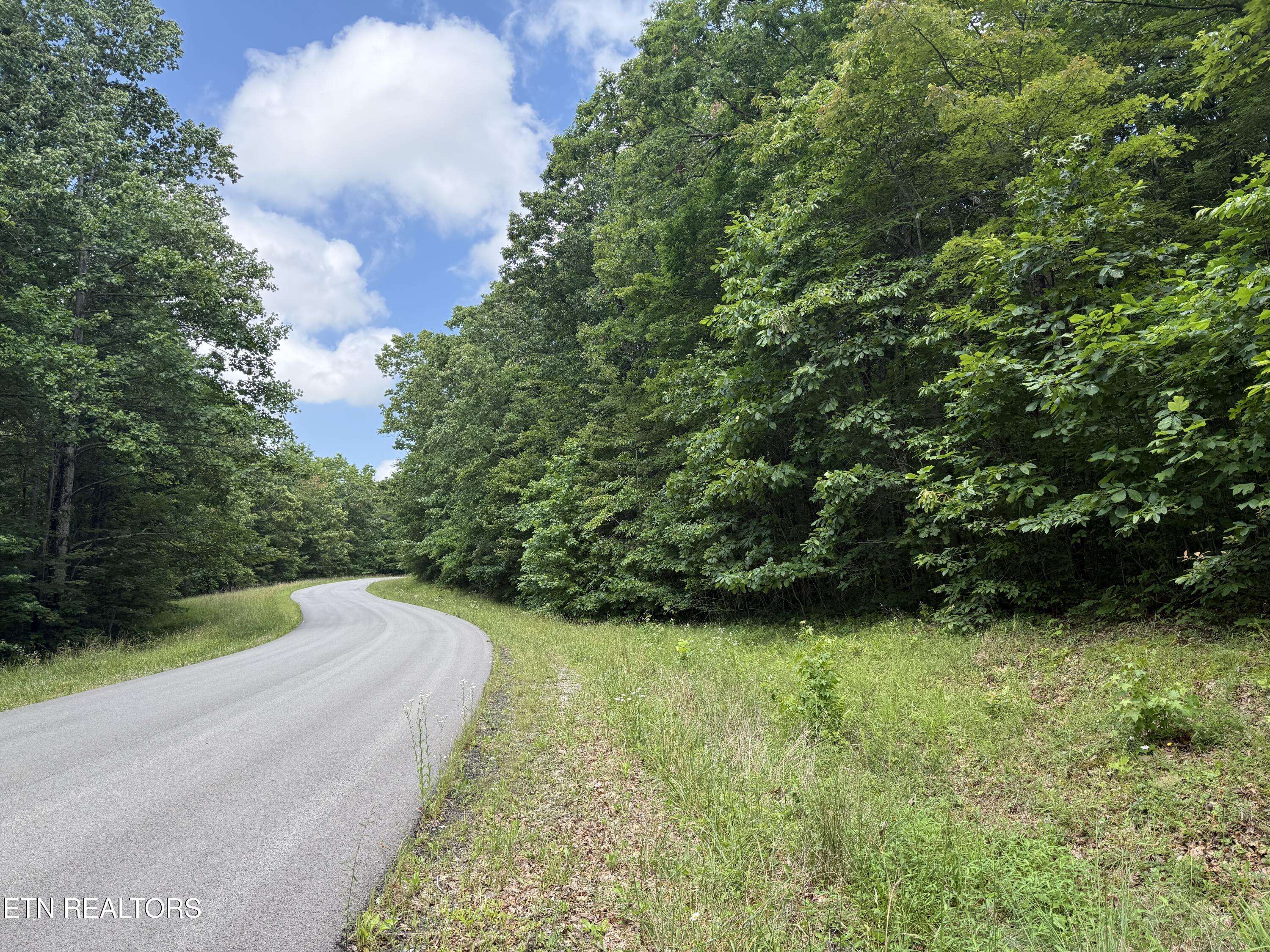 Monterey, TN 38574,Icy Cove Tr