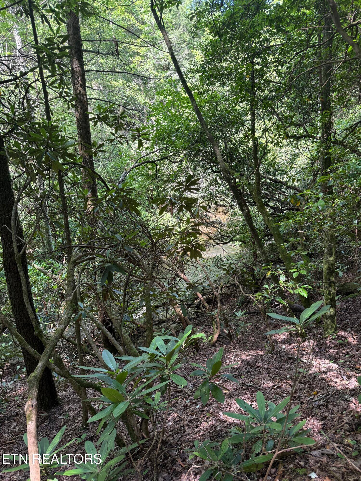 Jamestown, TN 38556,0 Acorn LN