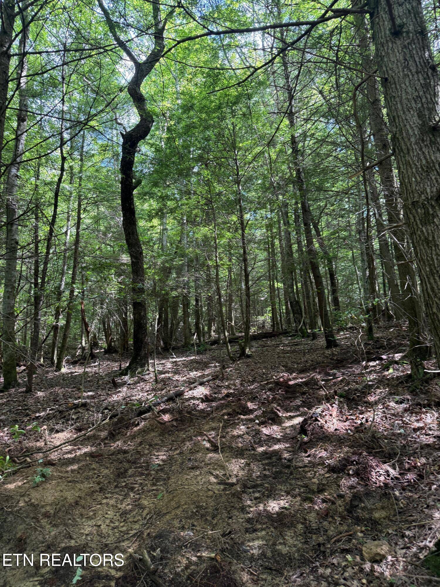 Jamestown, TN 38556,0 Acorn LN
