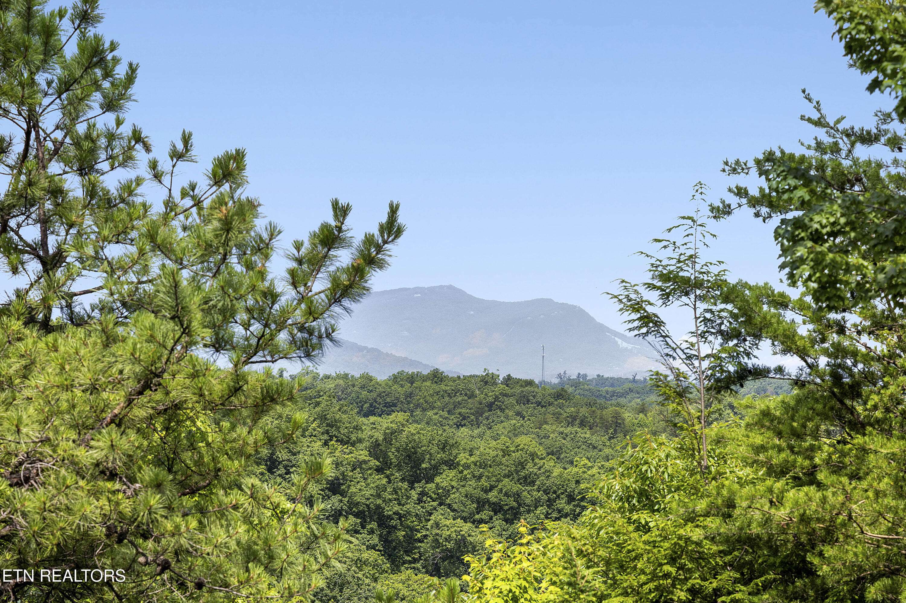 Sevierville, TN 37876,2526 School House Gap Rd