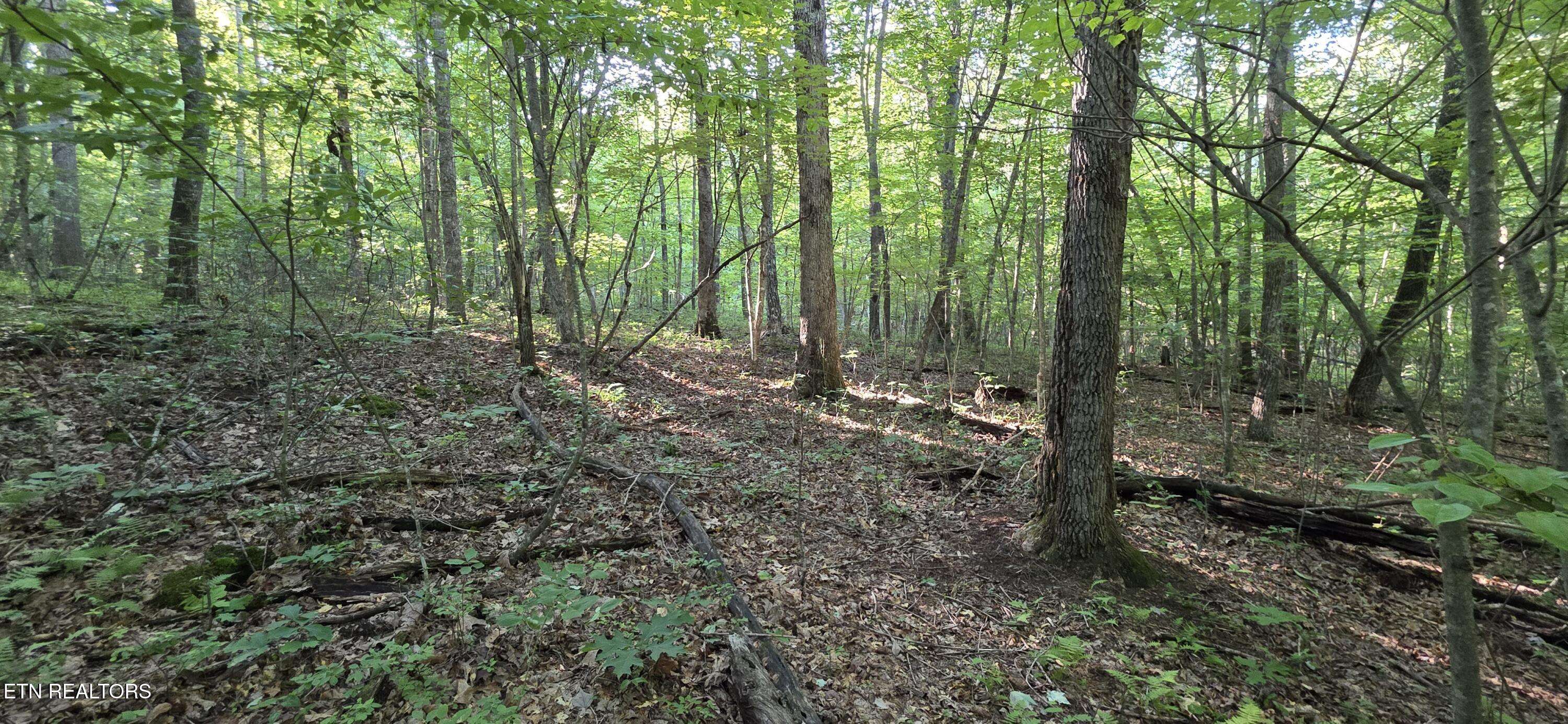 Monterey, TN 38574,25 Down PL