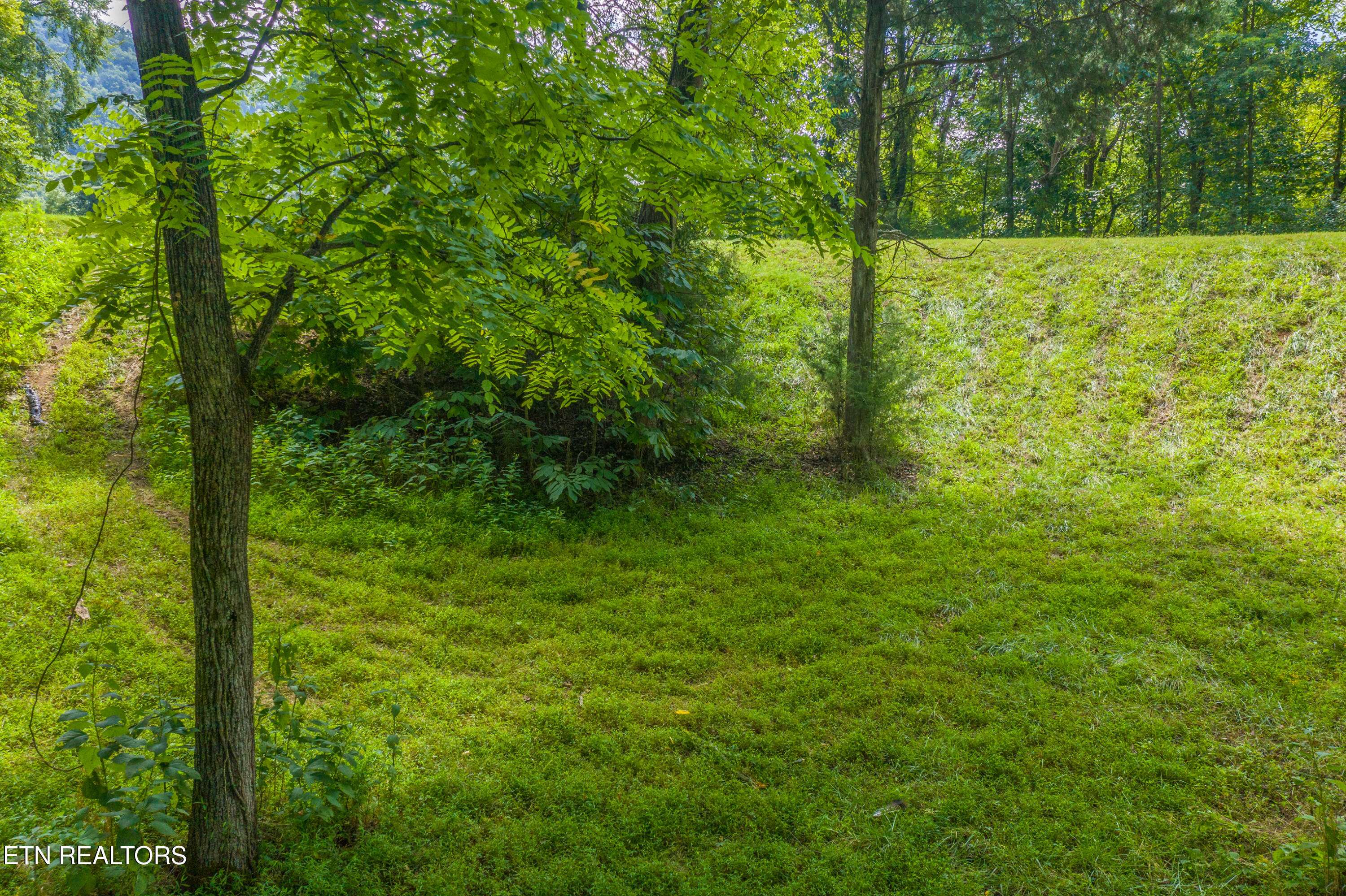 Whitesburg, TN 37891,Lot 30 Walnut Bend