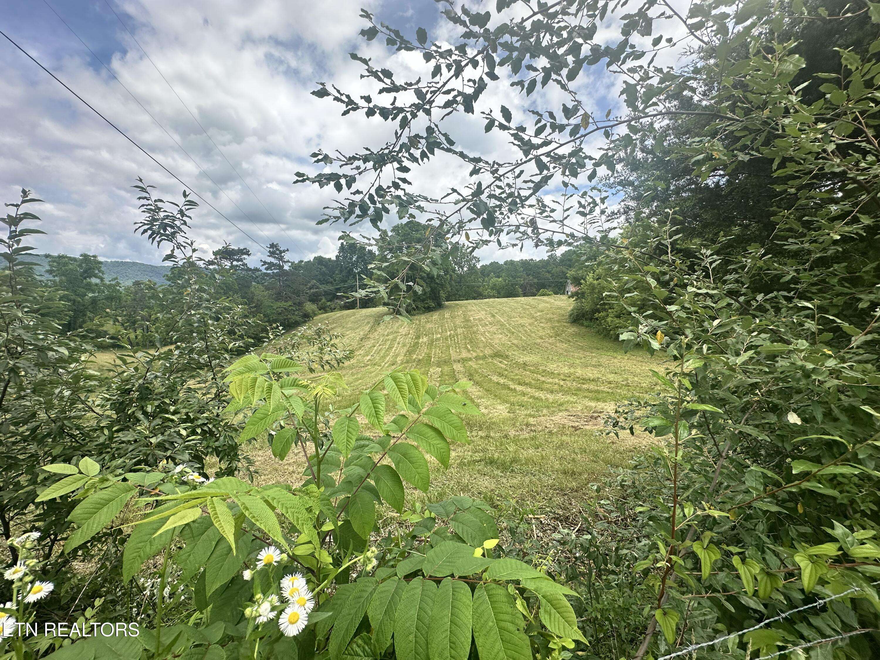 Lafollette, TN 37766,1123 Pleasant Ridge Rd