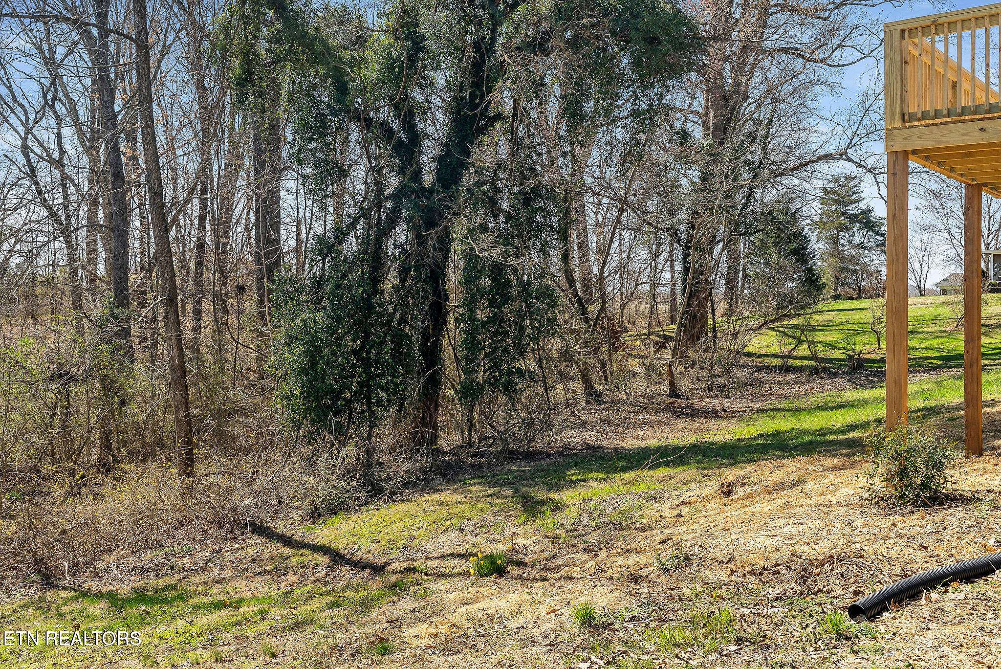 Sparta, TN 38583,307 Gillen DR