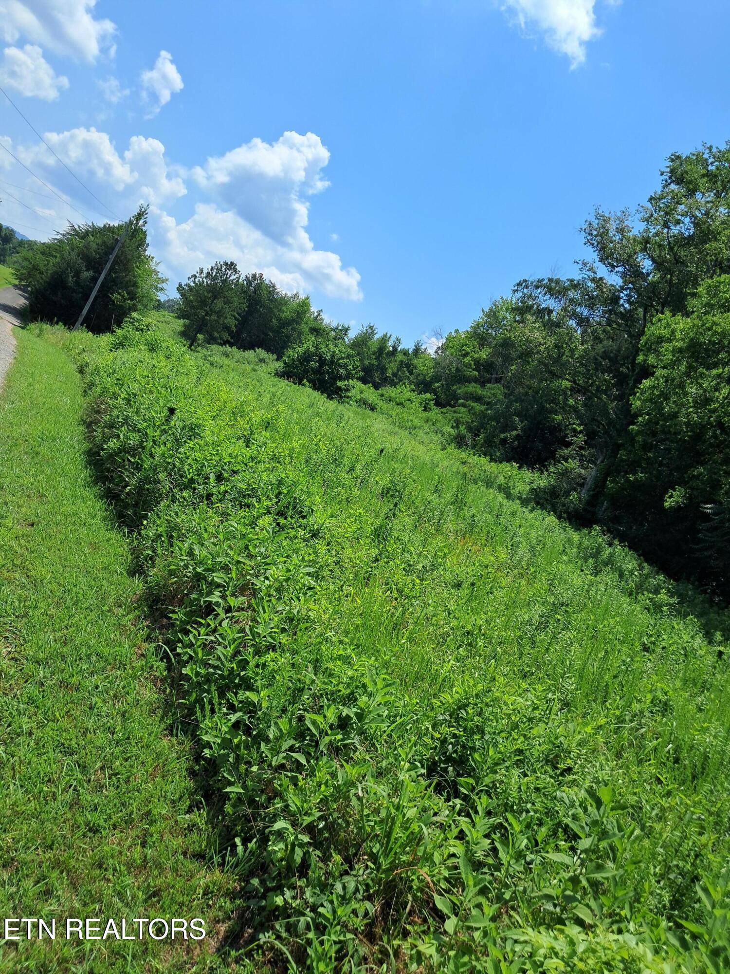 Newport, TN 37821,510 Deer Run WAY
