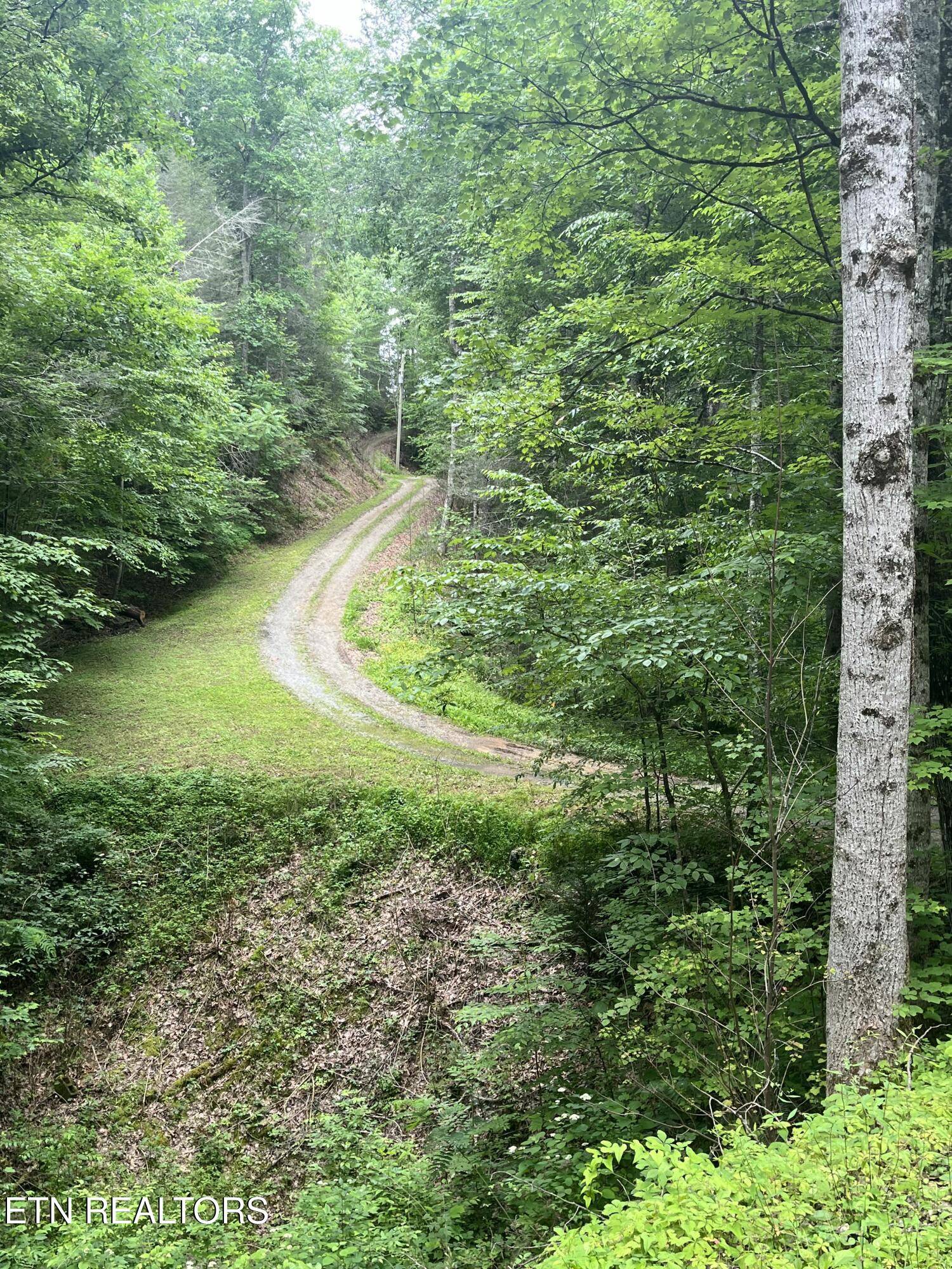 Sevierville, TN 37876,Shady Grove CT