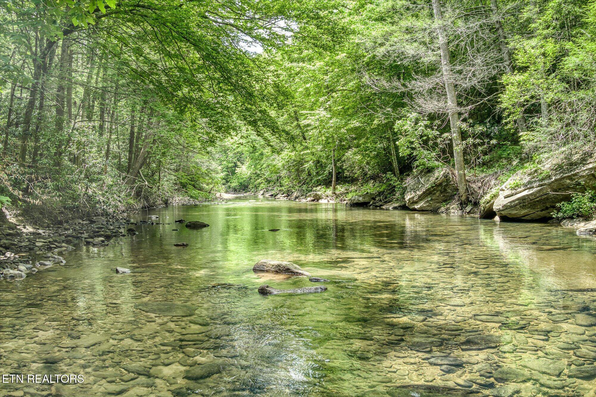 Crawford, TN 38554,7040 Fallen Timber LN