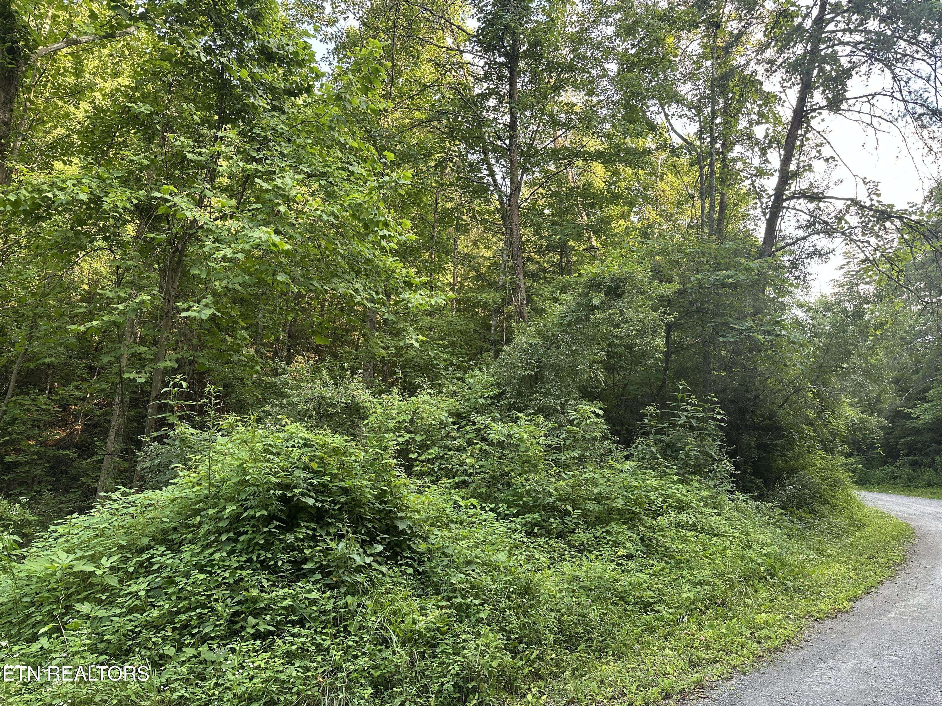 Lafollette, TN 37766,Doc Hollow off Lowes Branch Rd