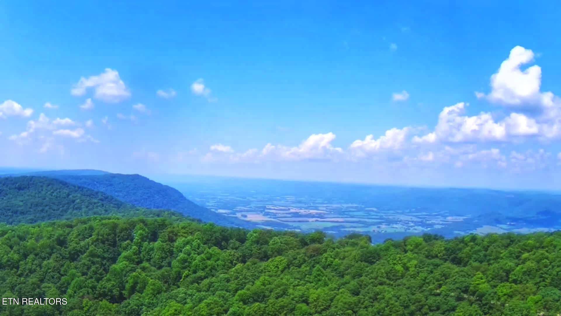 Spring City, TN 37381,5.21 Acres Browns Holler Rd