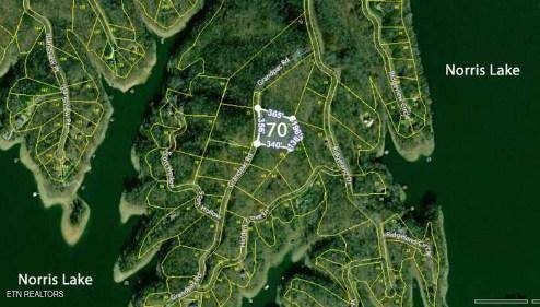 Sharps Chapel, TN 37866,Lot 70 Grandpas Ridge