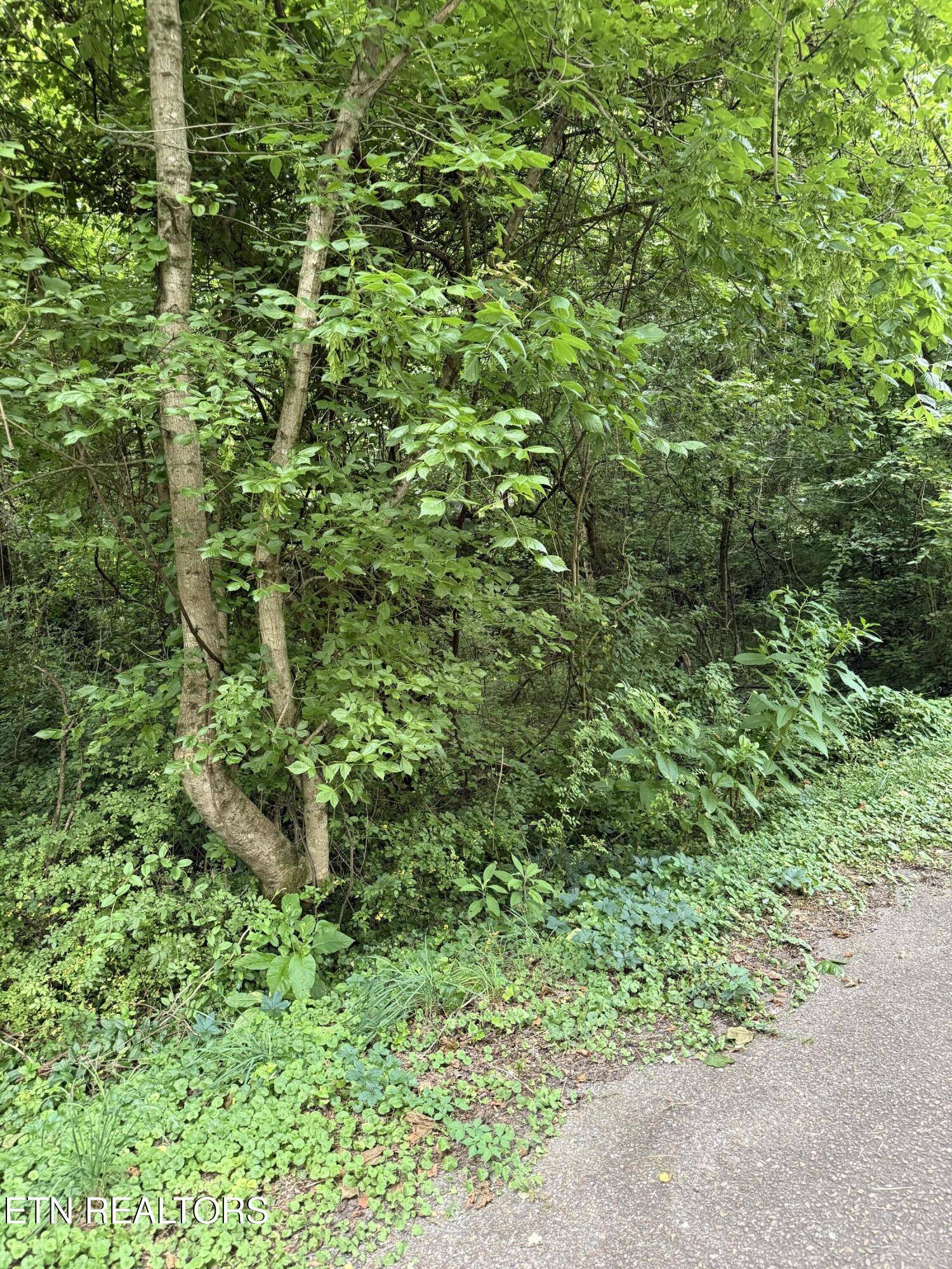 Knoxville, TN 37920,0 Spring Dr. DR