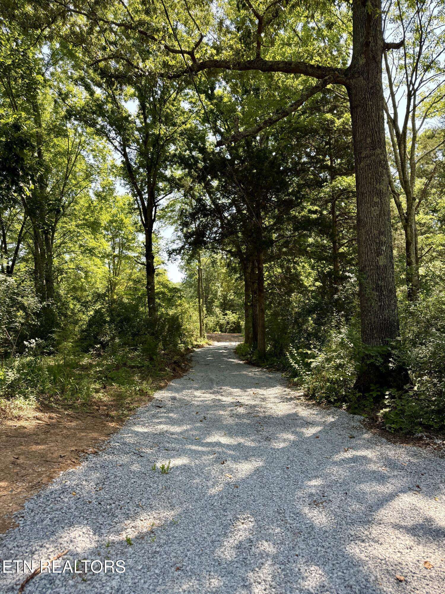 Tellico Plains, TN 37385,561 New Providence Rd