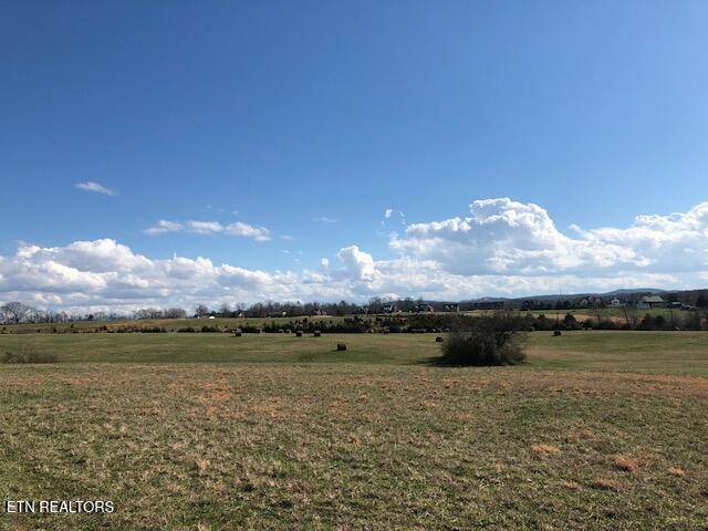 Strawberry Plains, TN 37871,8634 Shackleford LN