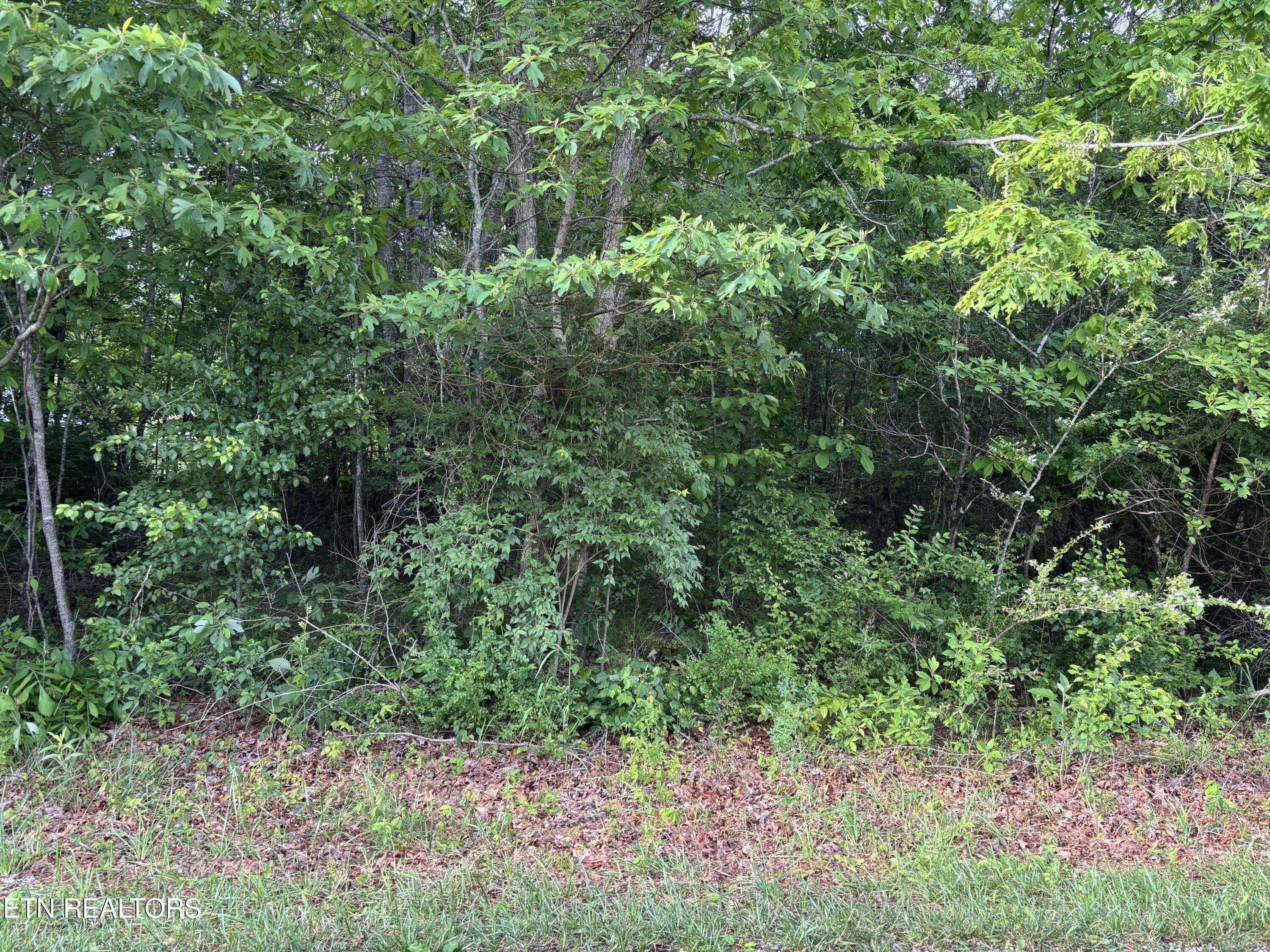 Crossville, TN 38572,34 Choctaw LN