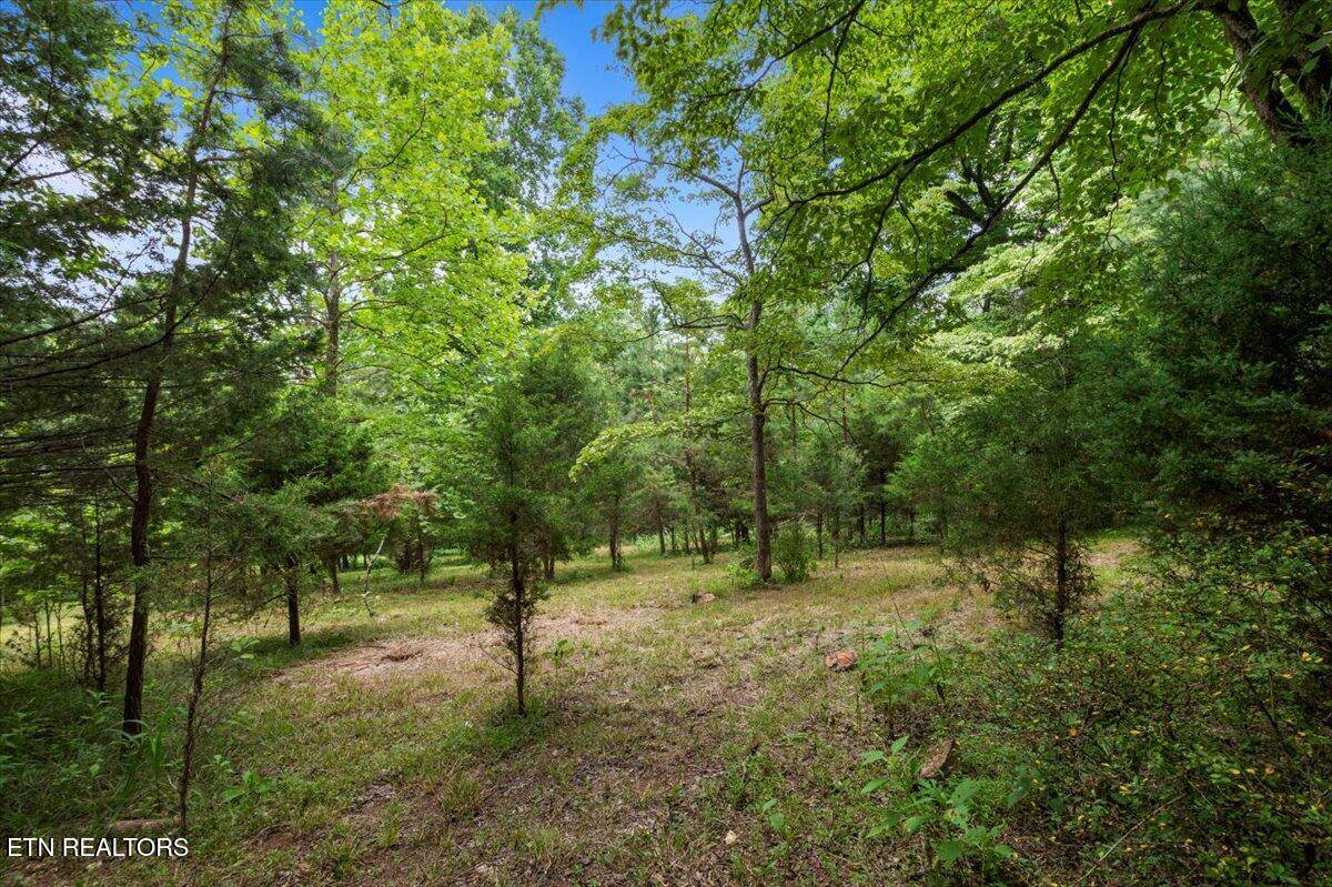 Lafollette, TN 37766,46, 47, 48 Bucks and Doe Lane