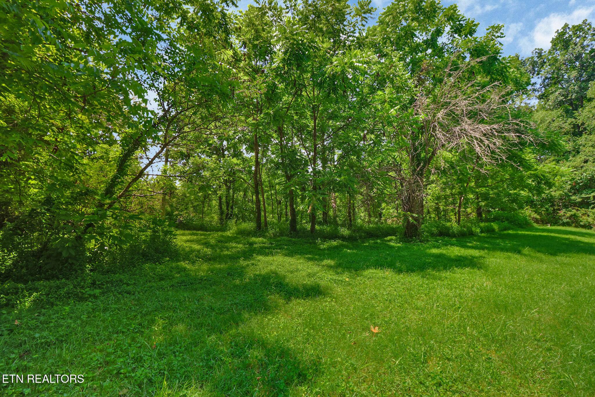 Allardt, TN 38504,Mt Helen Rd