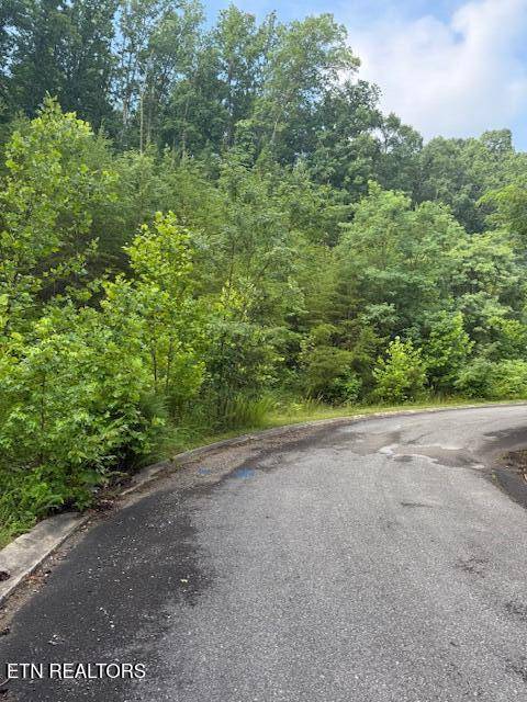 Dandridge, TN 37725,Lot 14 Woodland Creek DR