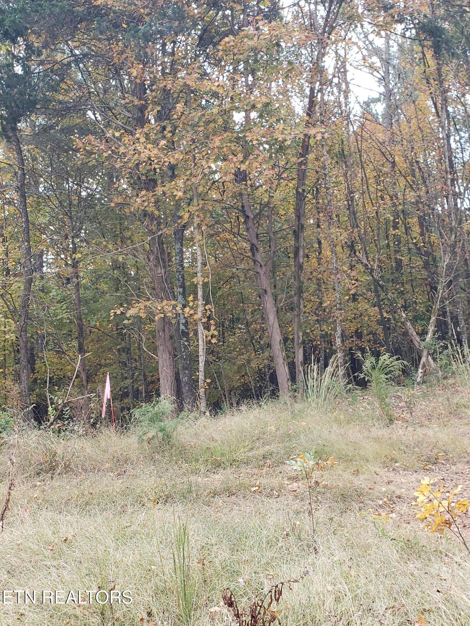 Dandridge, TN 37725,1165 W. Highway 25-70