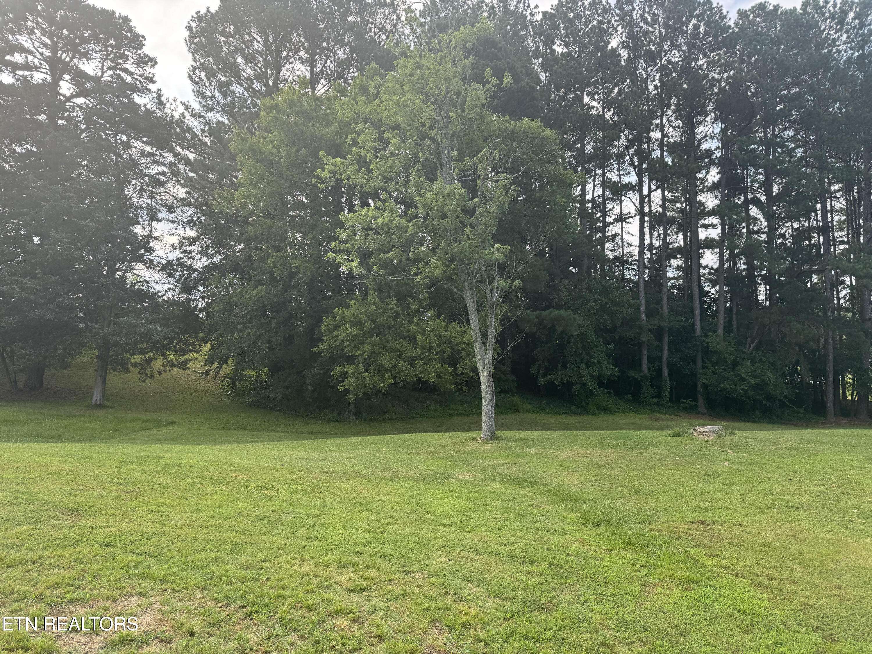 Friendsville, TN 37737,123 Jerry Cardin LN