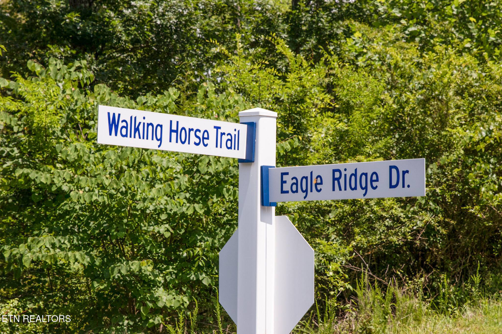 Rockwood, TN 37854,359 Walking Horse Tr
