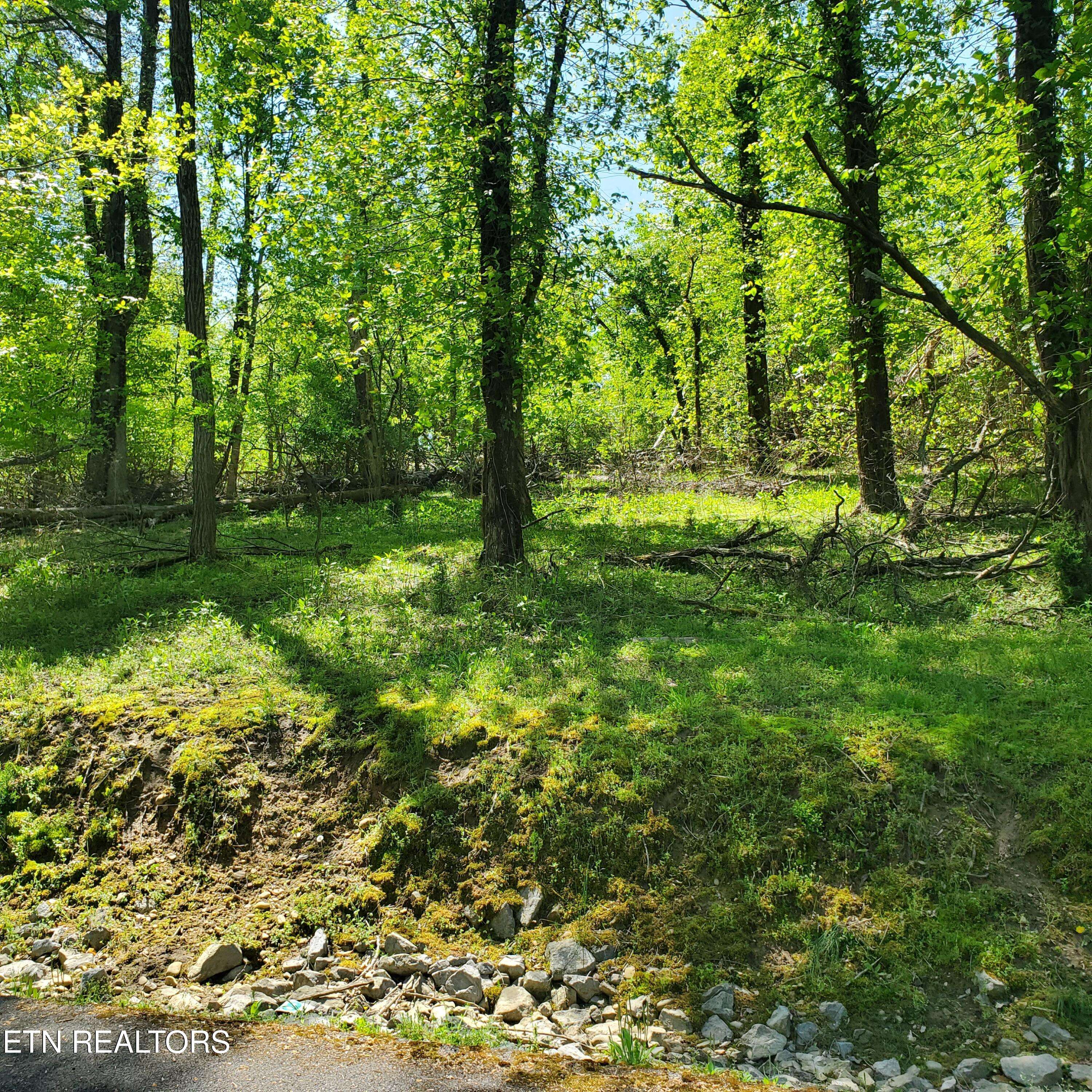 Mooresburg, TN 37811,1603 Sequoyah DR