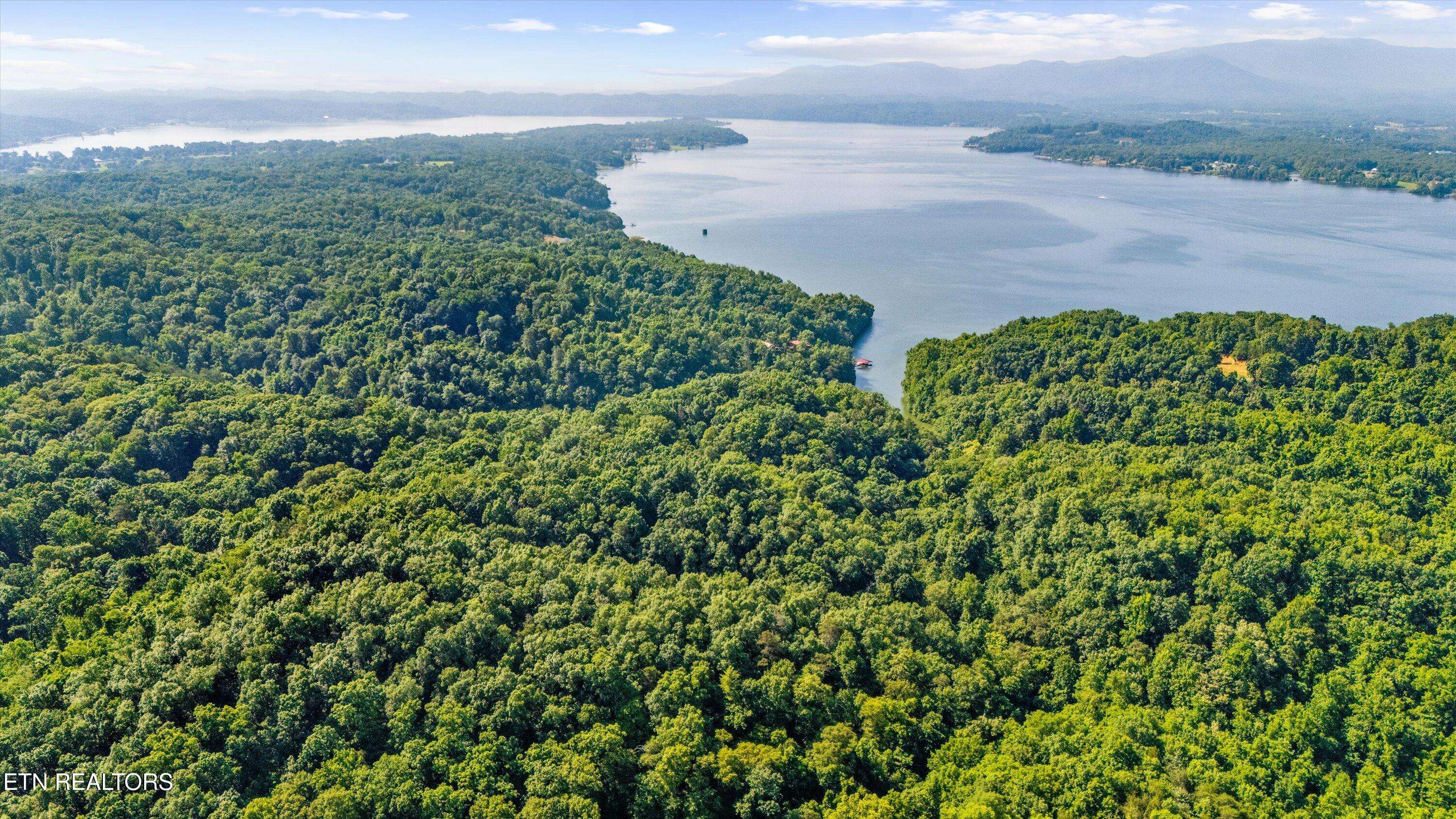 Baneberry, TN 37890,Fortunato DR