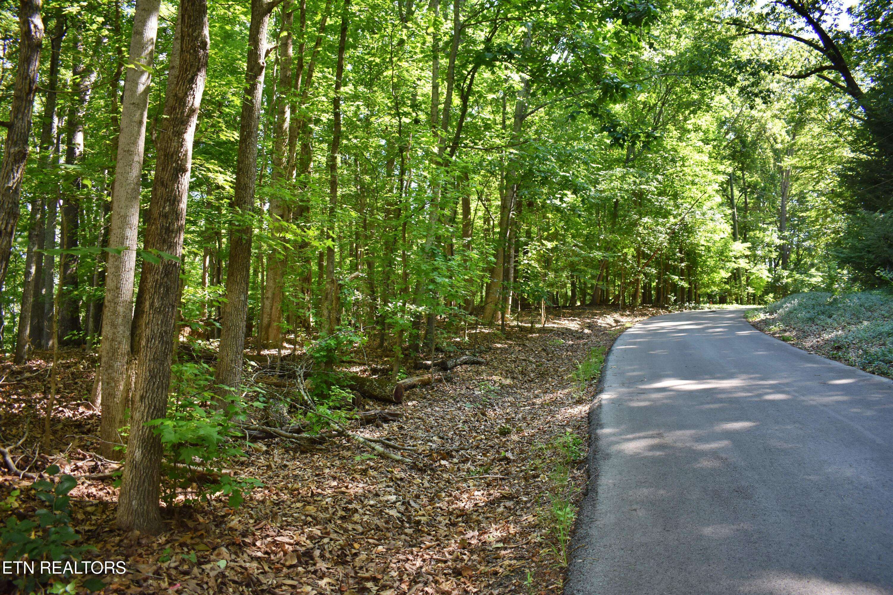 Rockwood, TN 37854,Lot 3 Kirkham DR