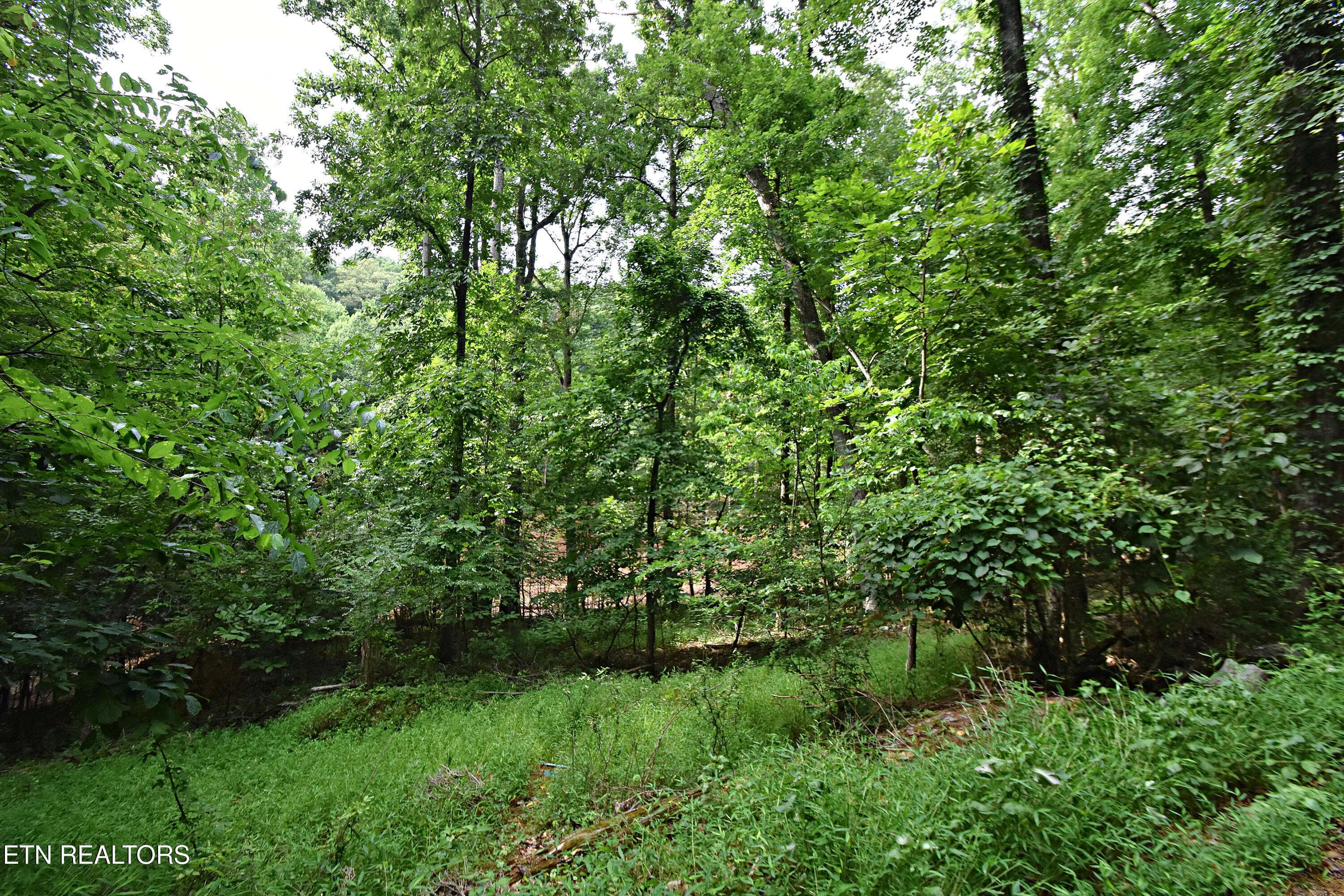 Knoxville, TN 37922,0 Early Rd #3
