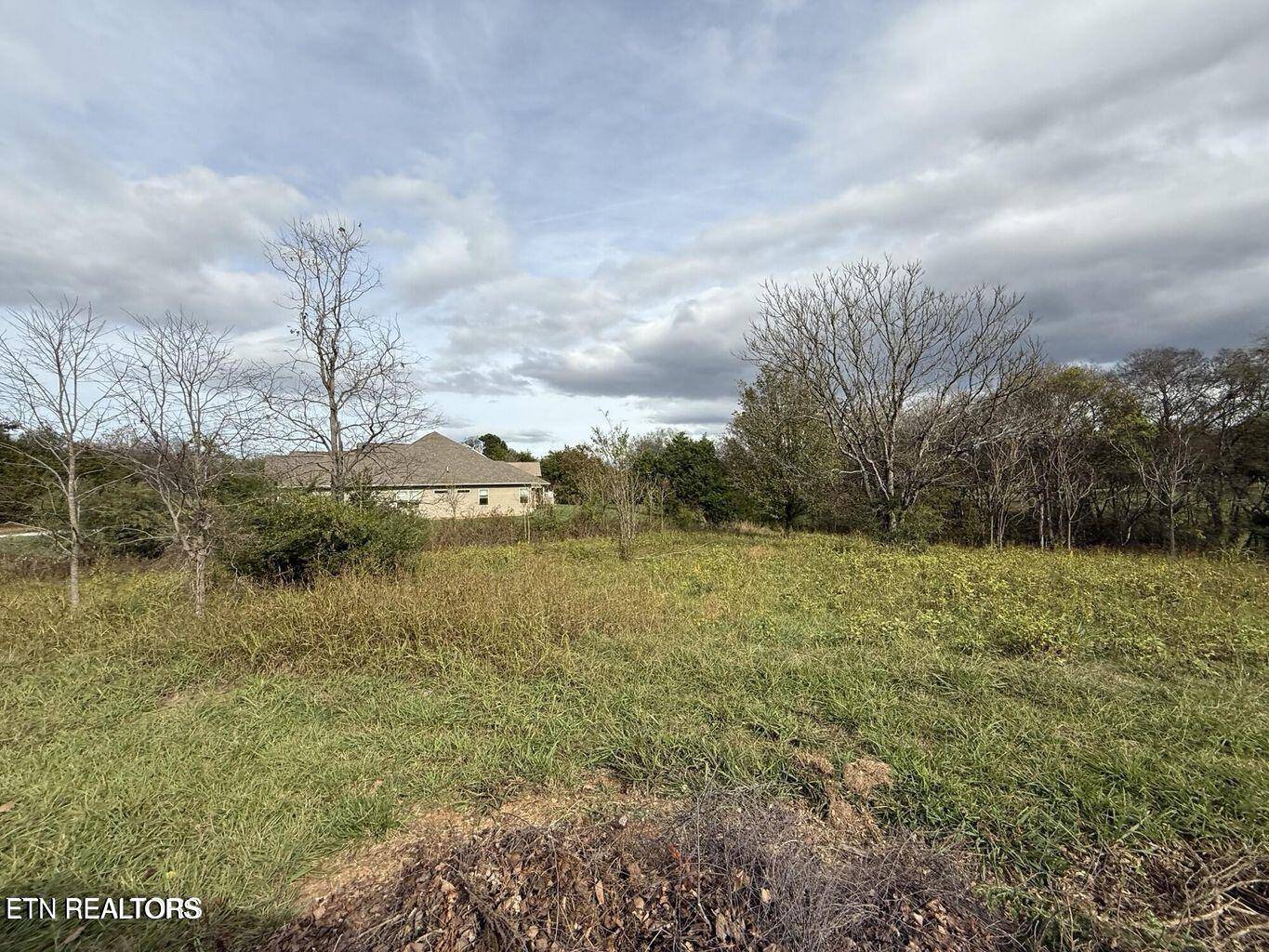 Vonore, TN 37885,135 Itawa Tr