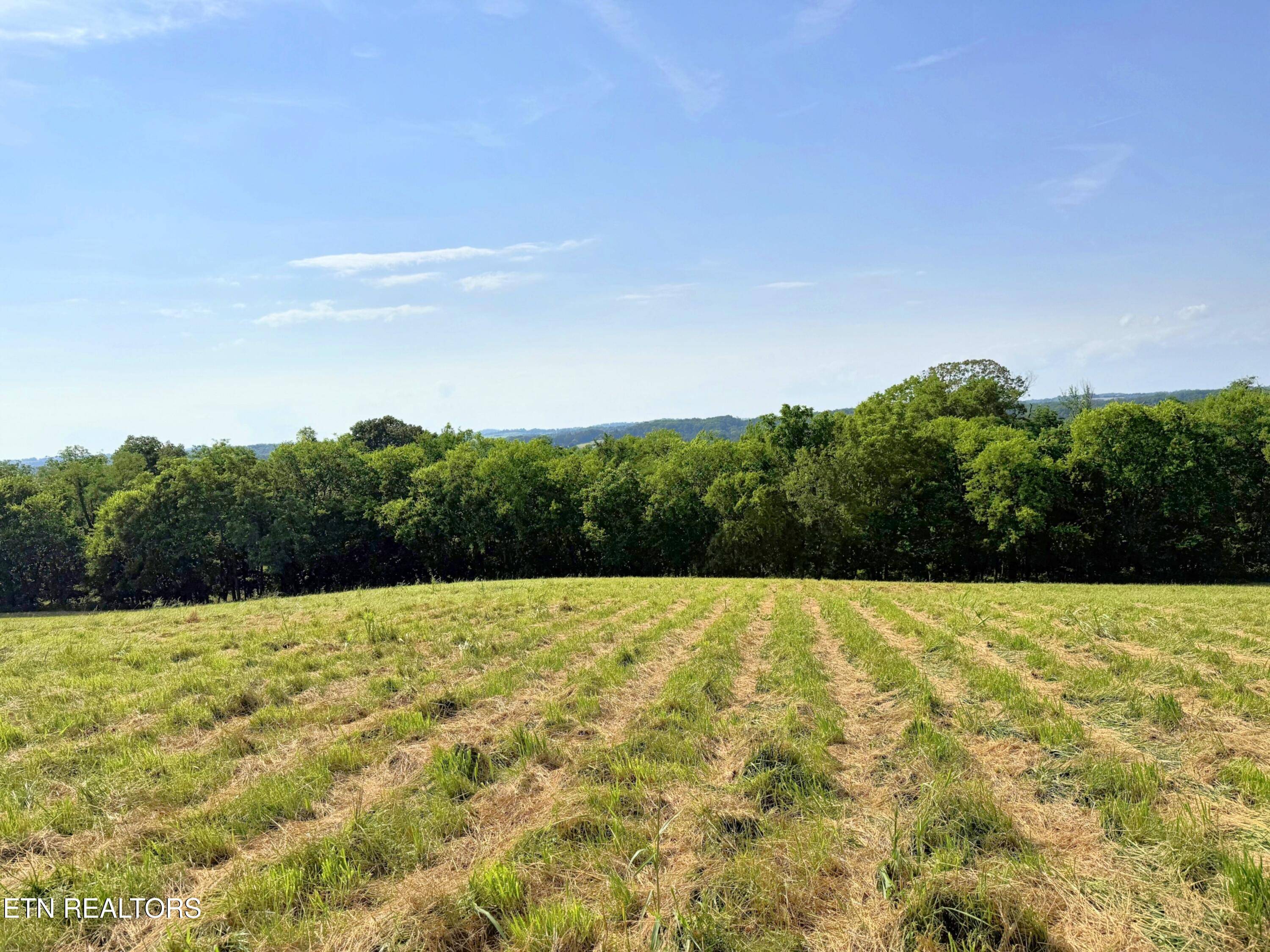 Maryville, TN 37801,lot 4 Stone LN
