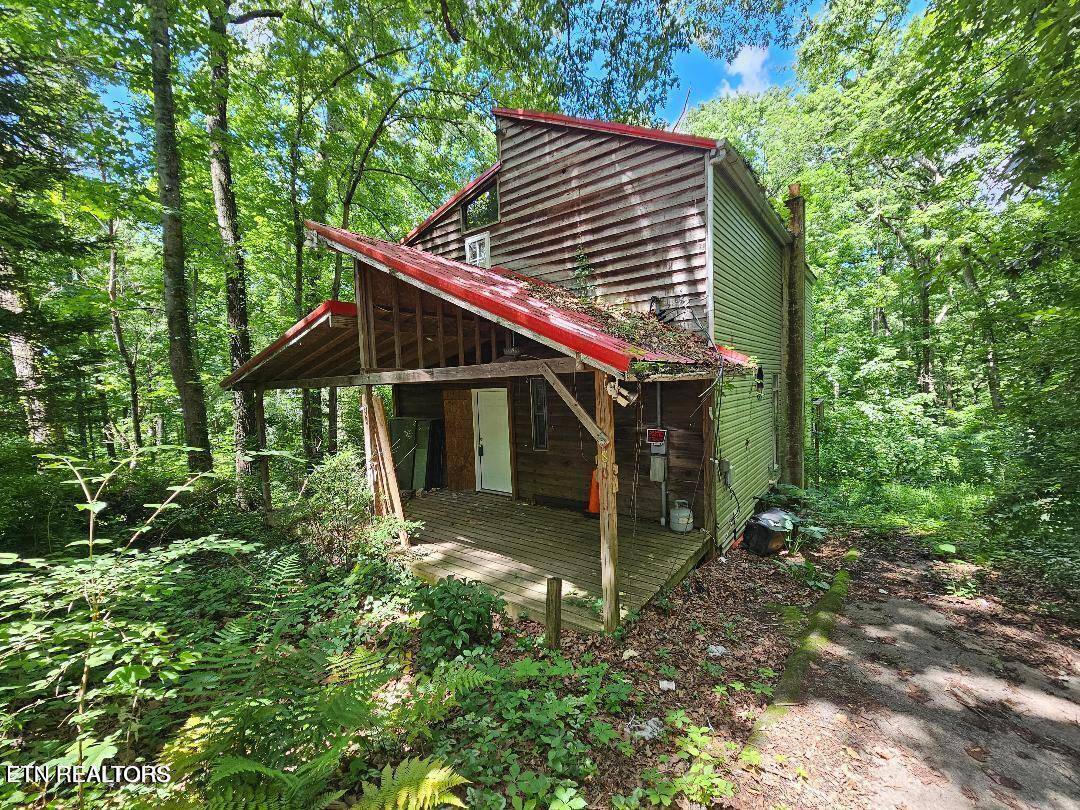 Powell, TN 37849,8031 Shady LN
