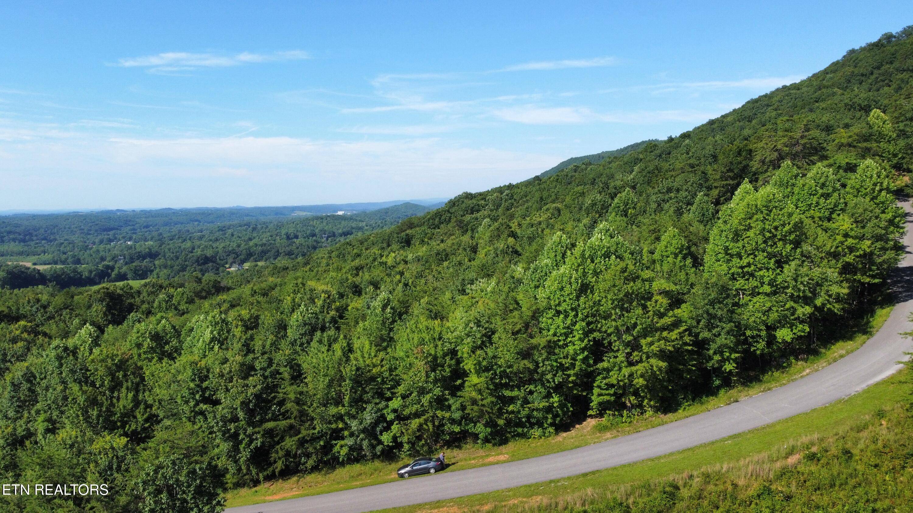 Evensville, TN 37332,Lot 25 Escape DR