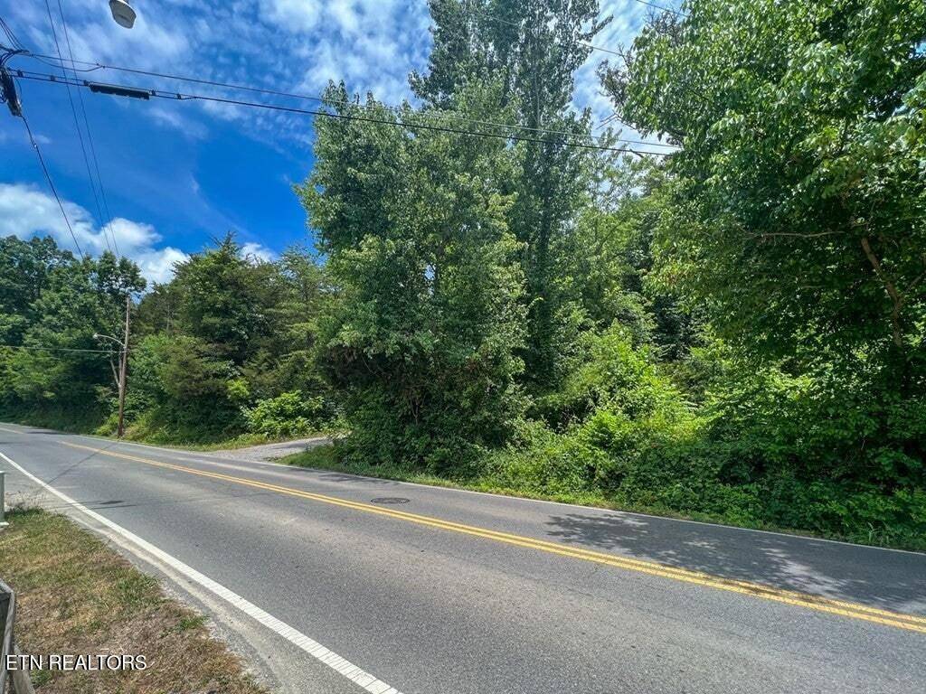 Sevierville, TN 37862,Lots 1, 2, 3 and 21 Ridge Rd