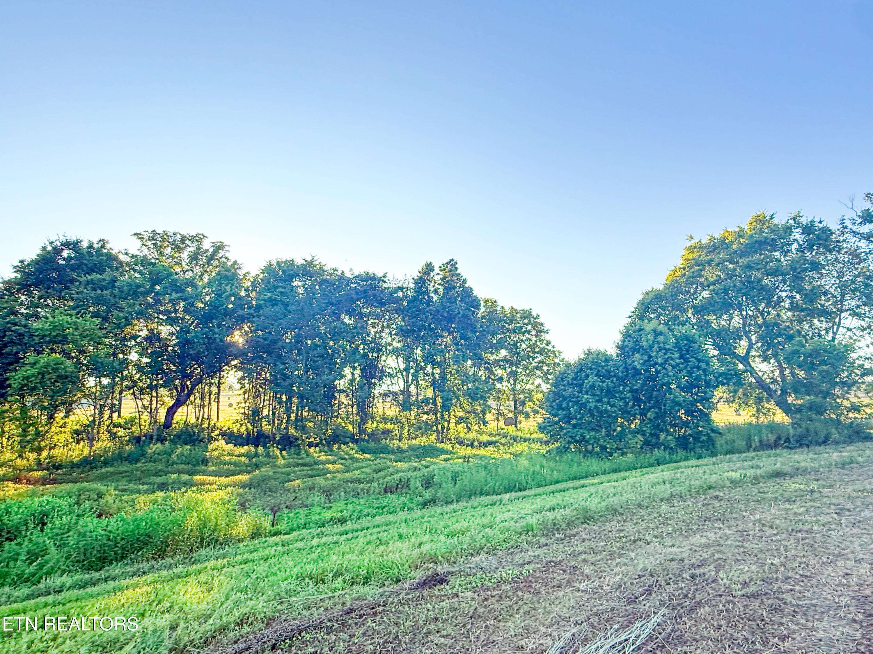 Talbott, TN 37877,Lot 20 Summerset DR