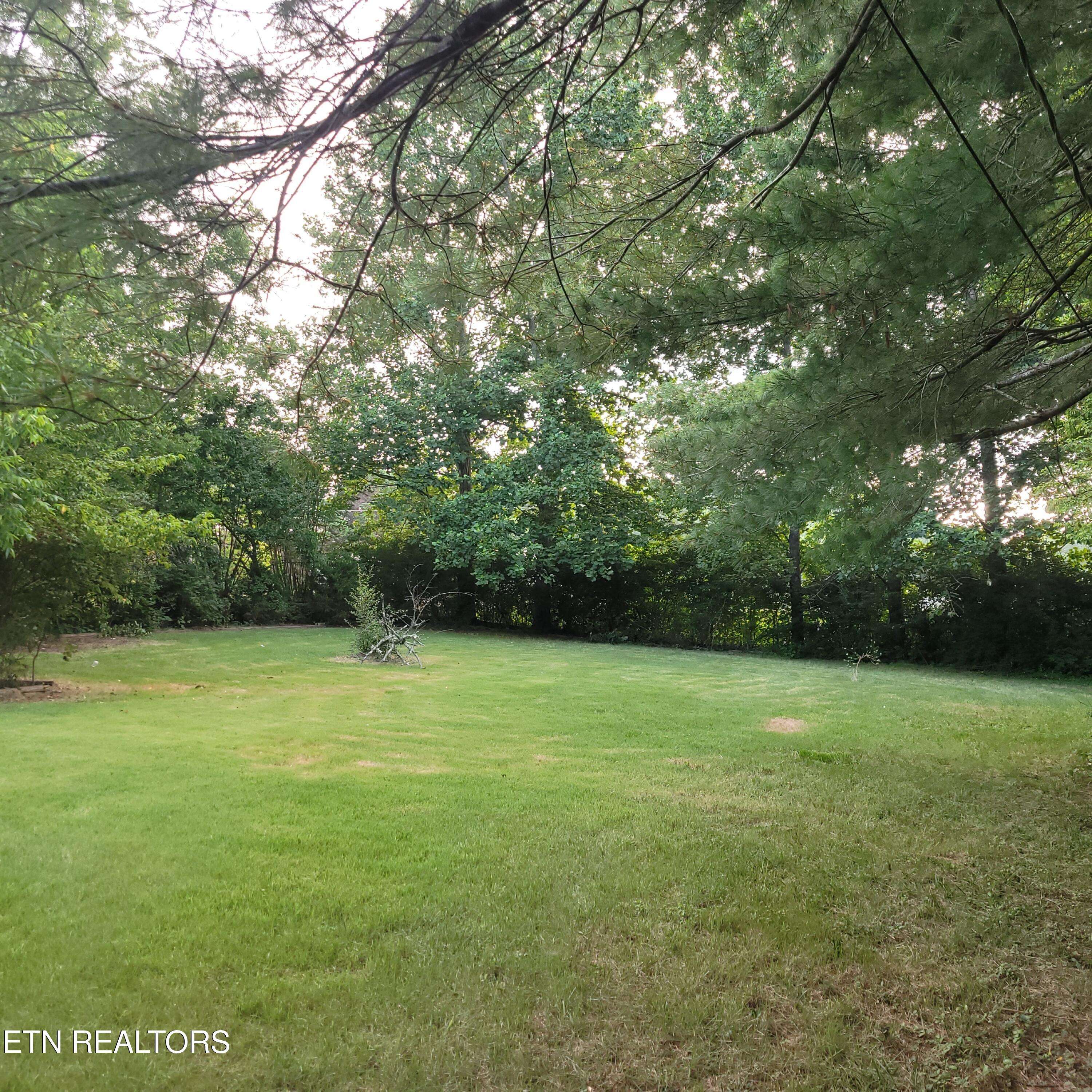 Friendsville, TN 37737,581 Disco Loop Rd