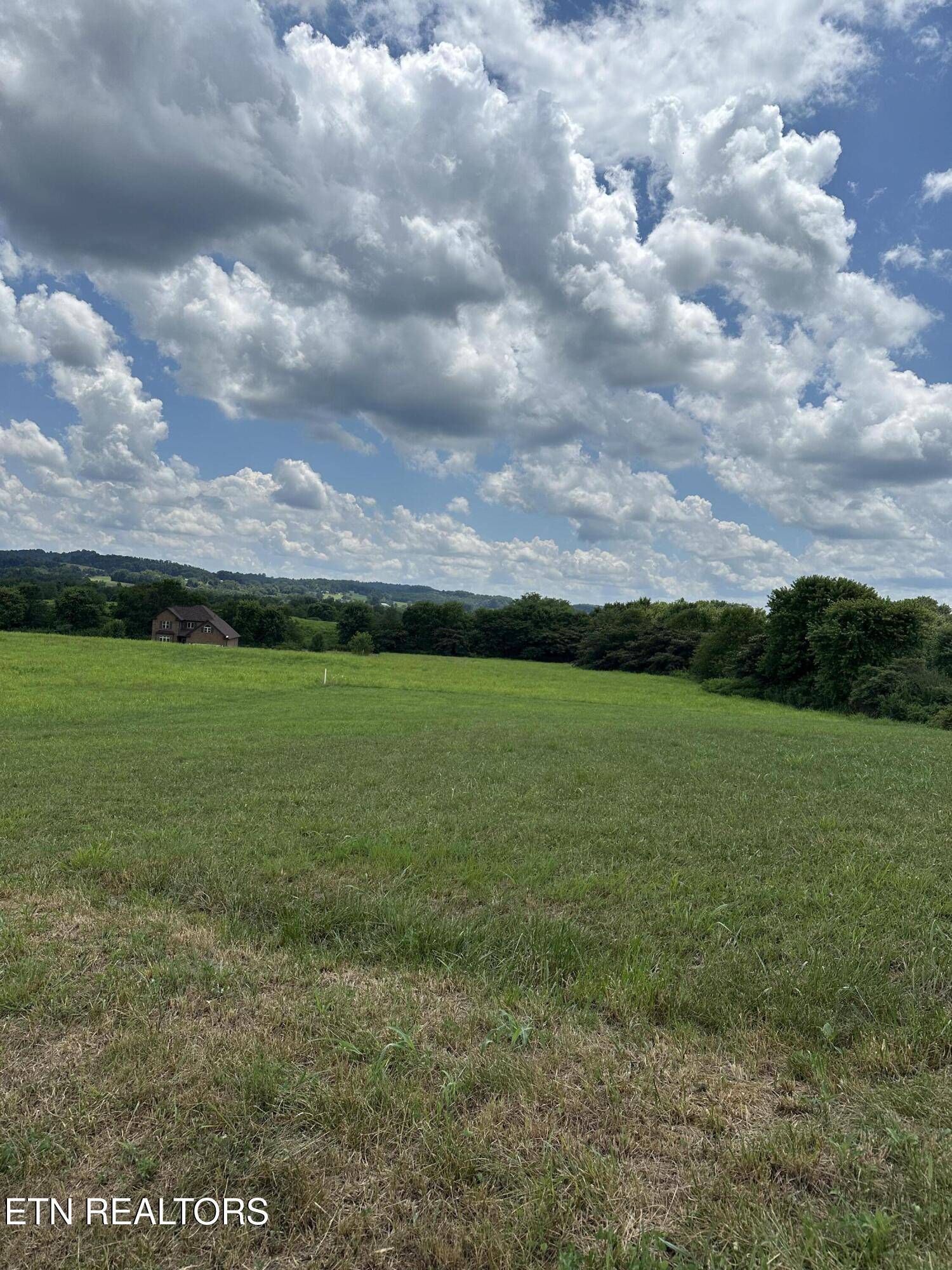 Speedwell, TN 37870,Sparrow LN