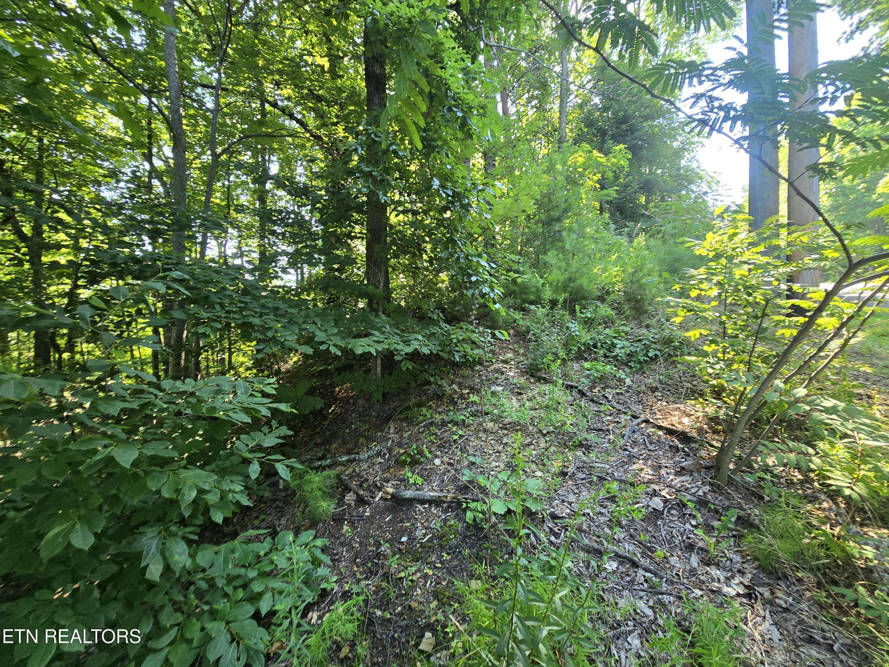Sevierville, TN 37876,Lot 586 Silver Poplar LN