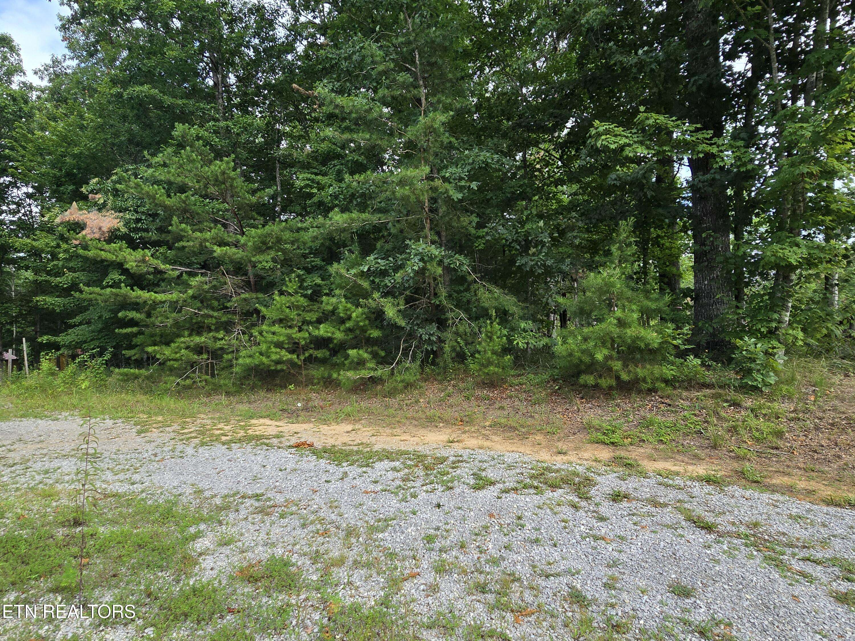 Jamestown, TN 38556,lot 244 Walking Horse DR